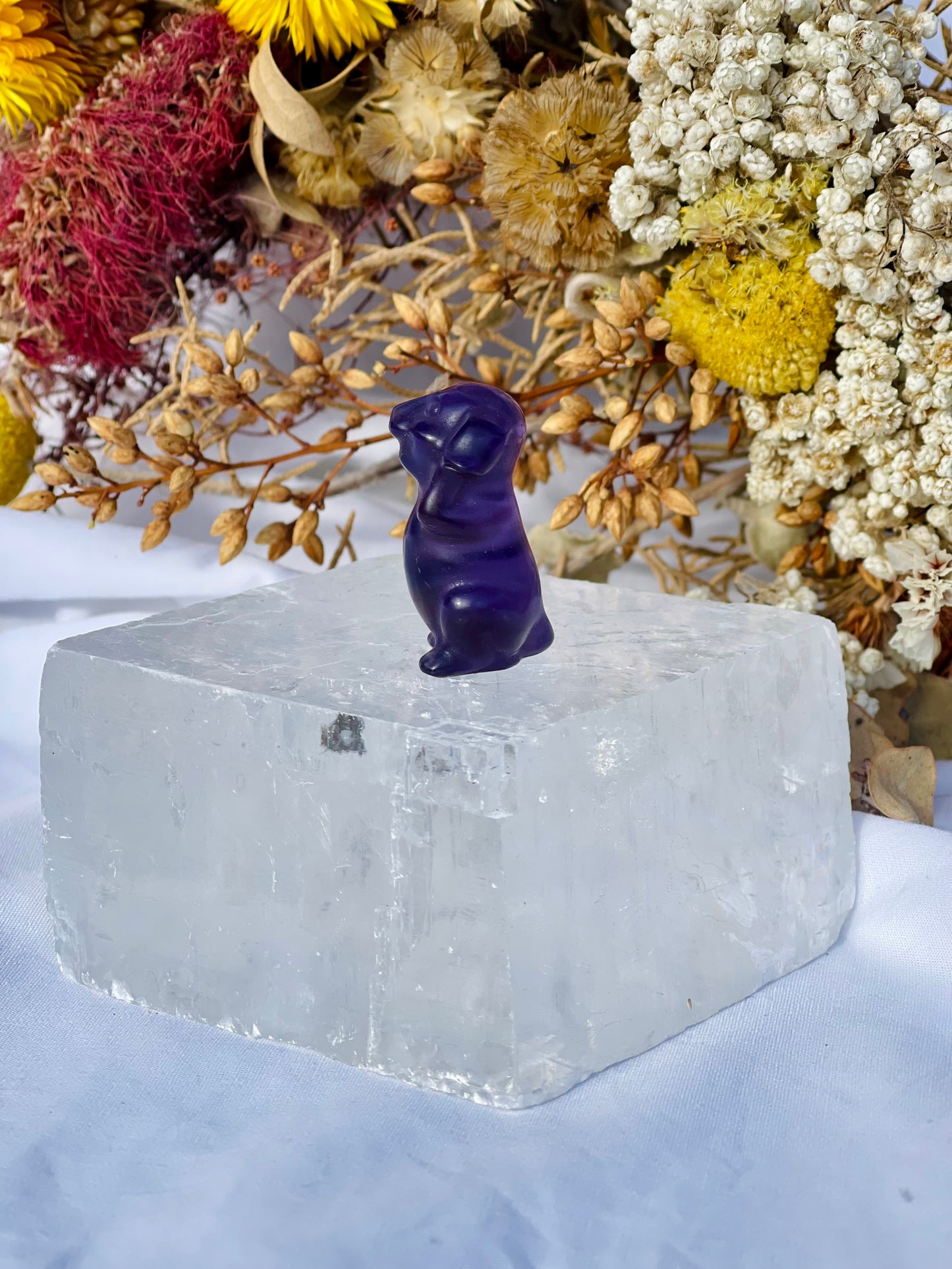 Purple Fluorite Dog