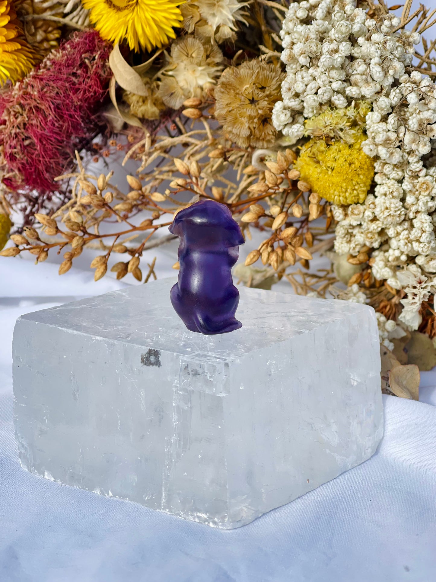 Purple Fluorite Dog