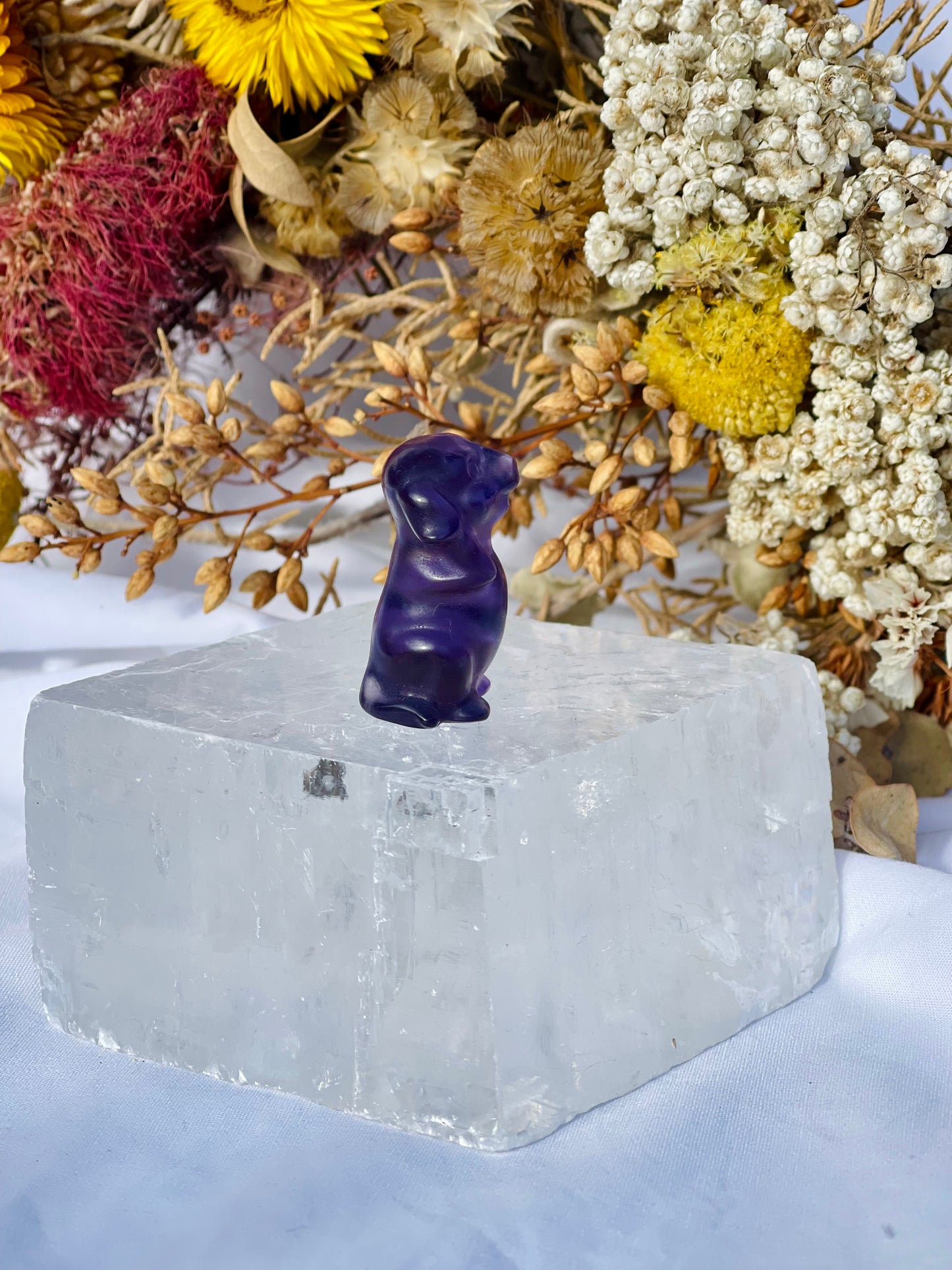 Purple Fluorite Dog