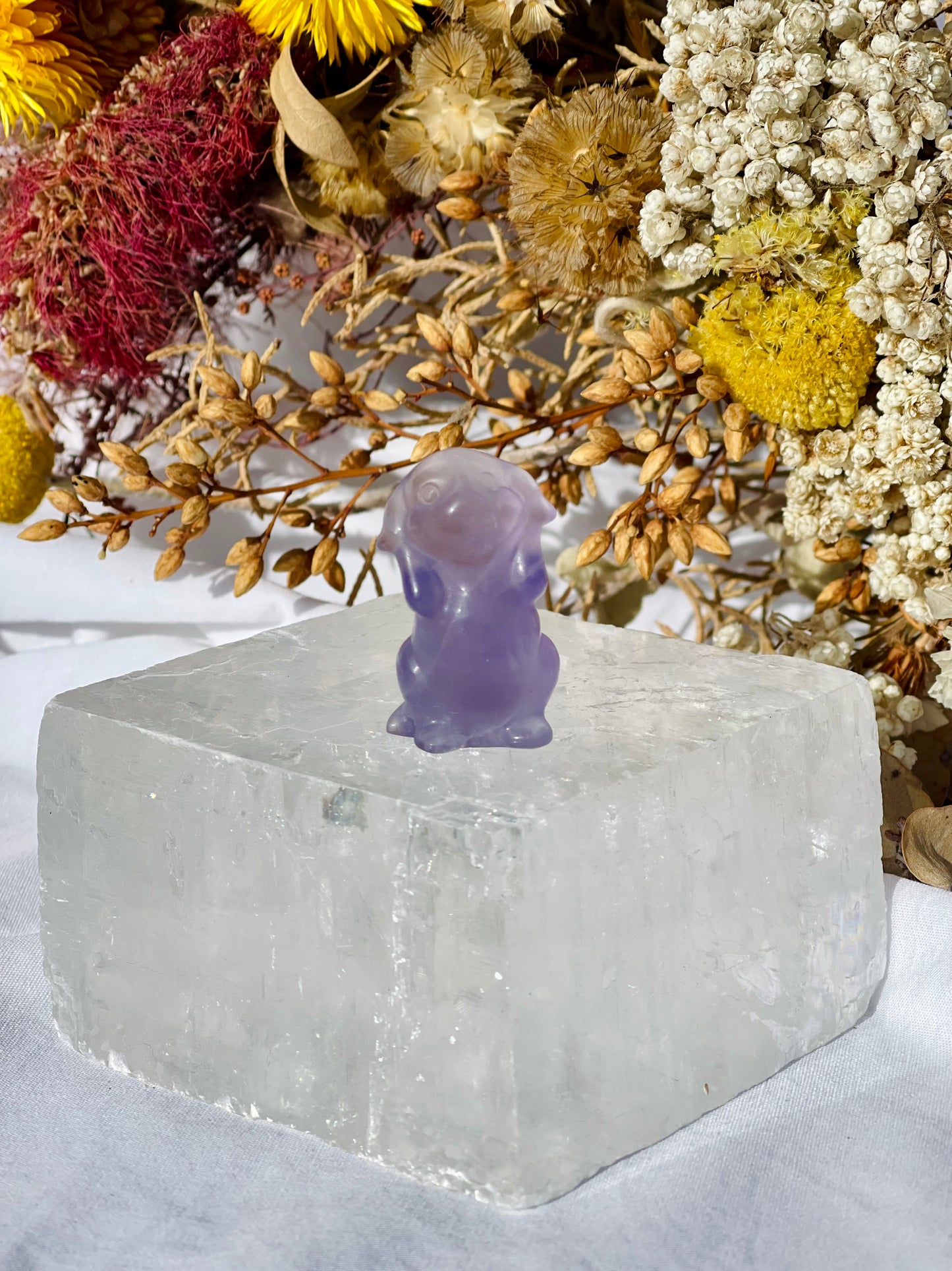 Purple Fluorite Dog