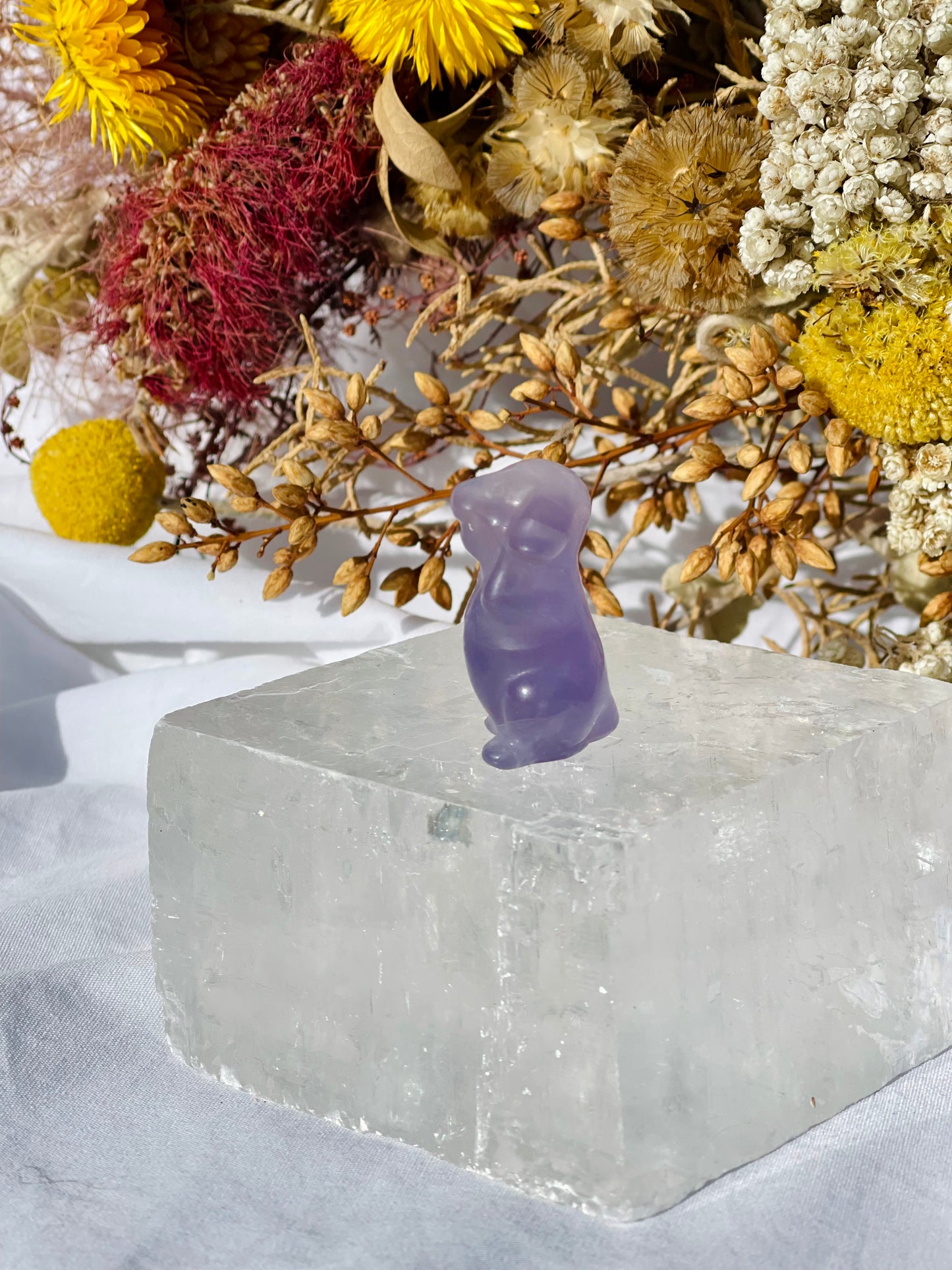 Purple Fluorite Dog