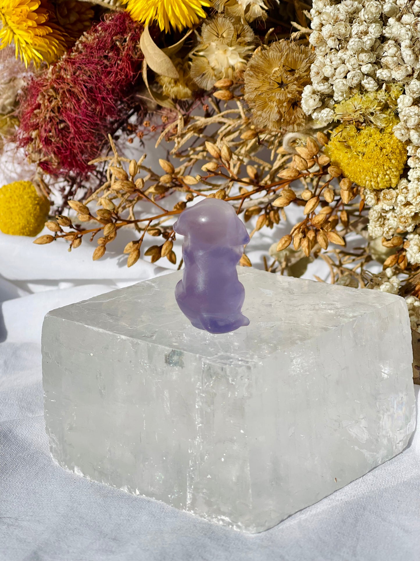 Purple Fluorite Dog