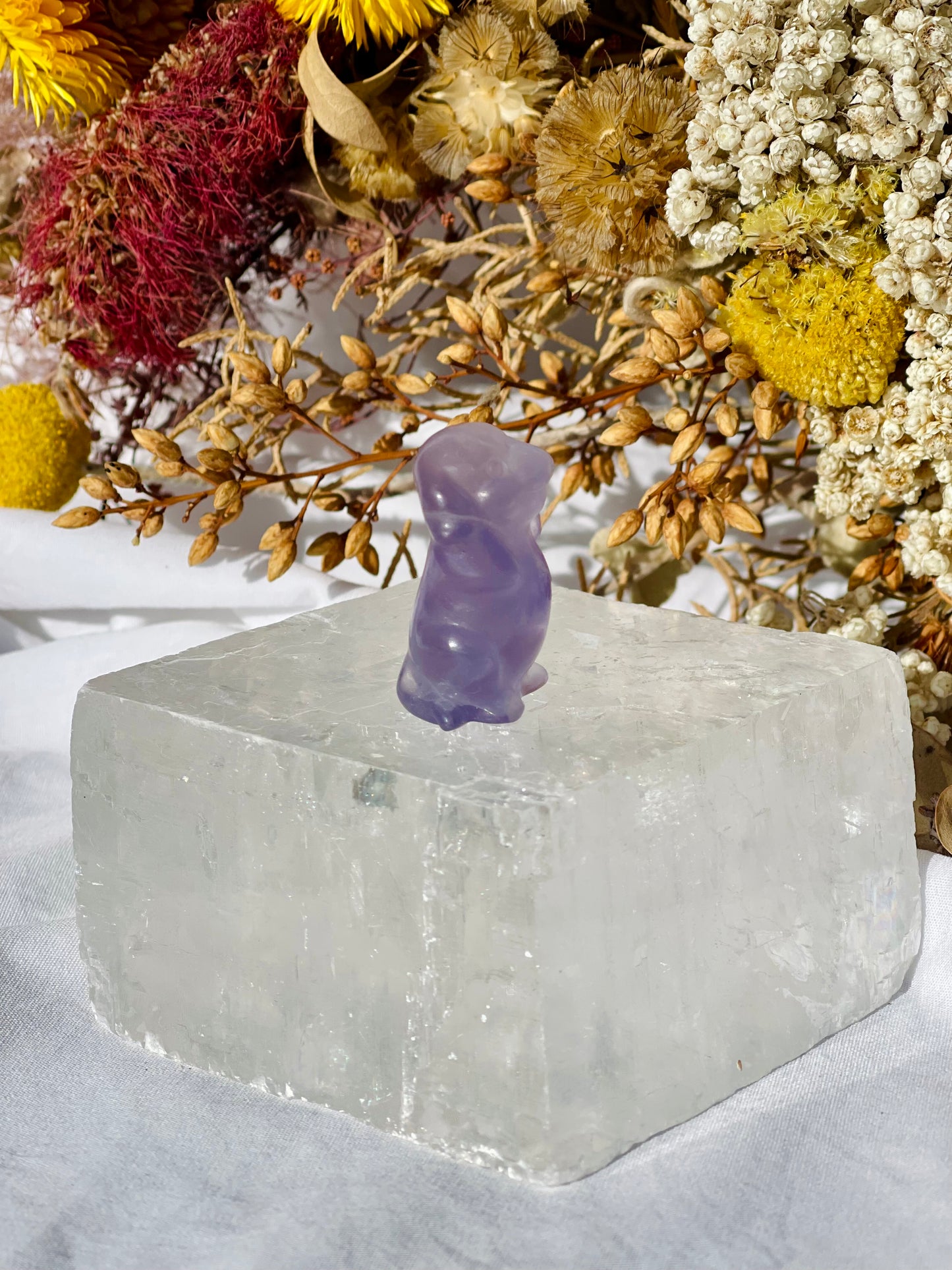Purple Fluorite Dog