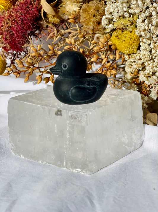 Obsidian Duck