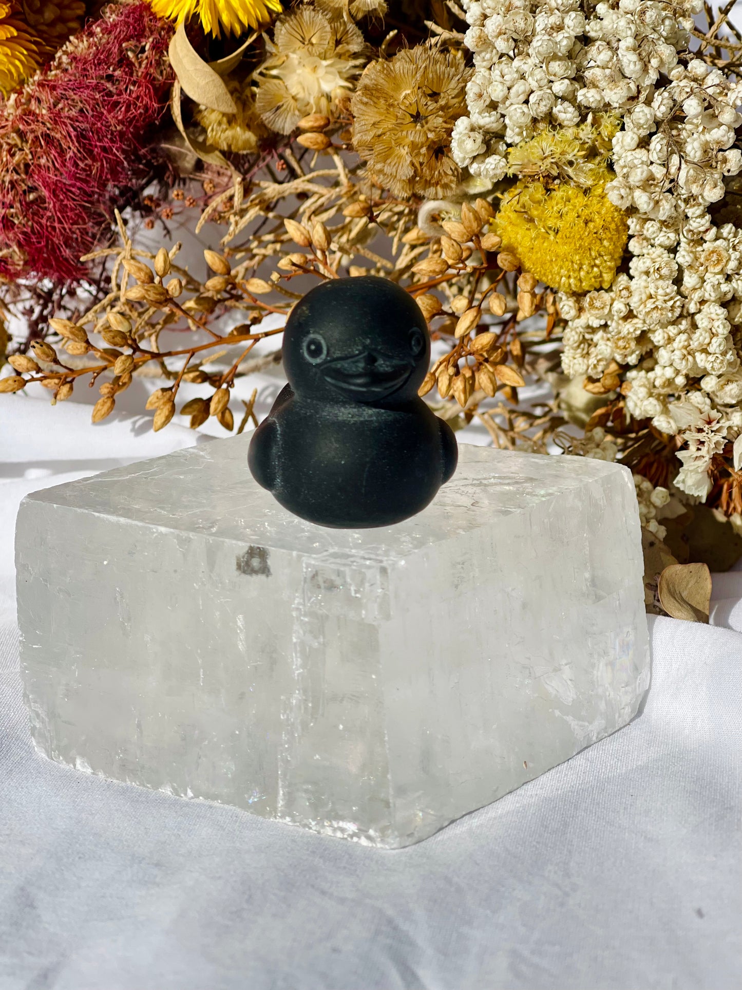 Obsidian Duck