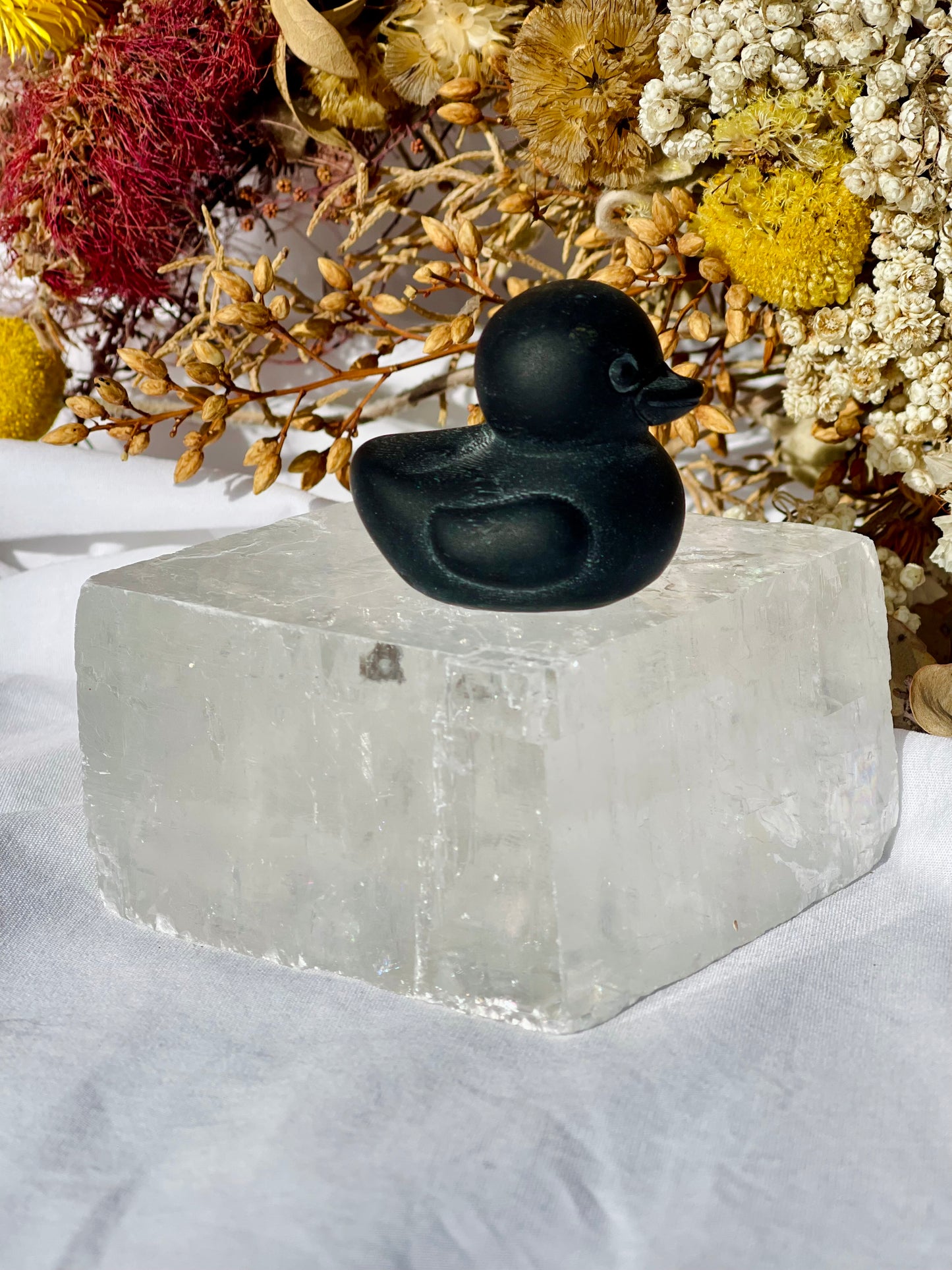 Obsidian Duck