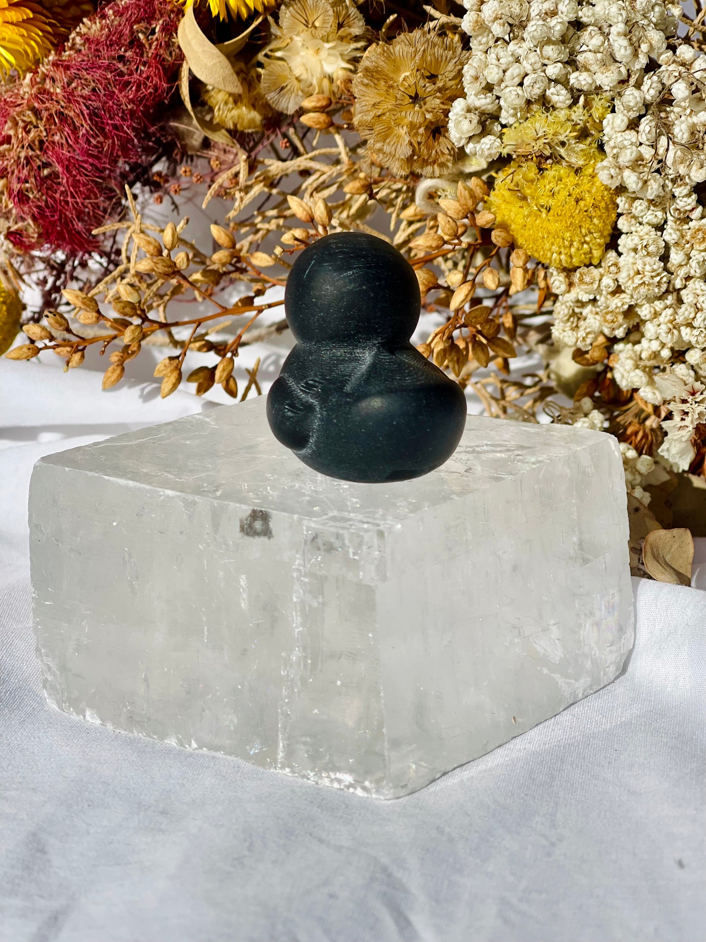 Obsidian Duck