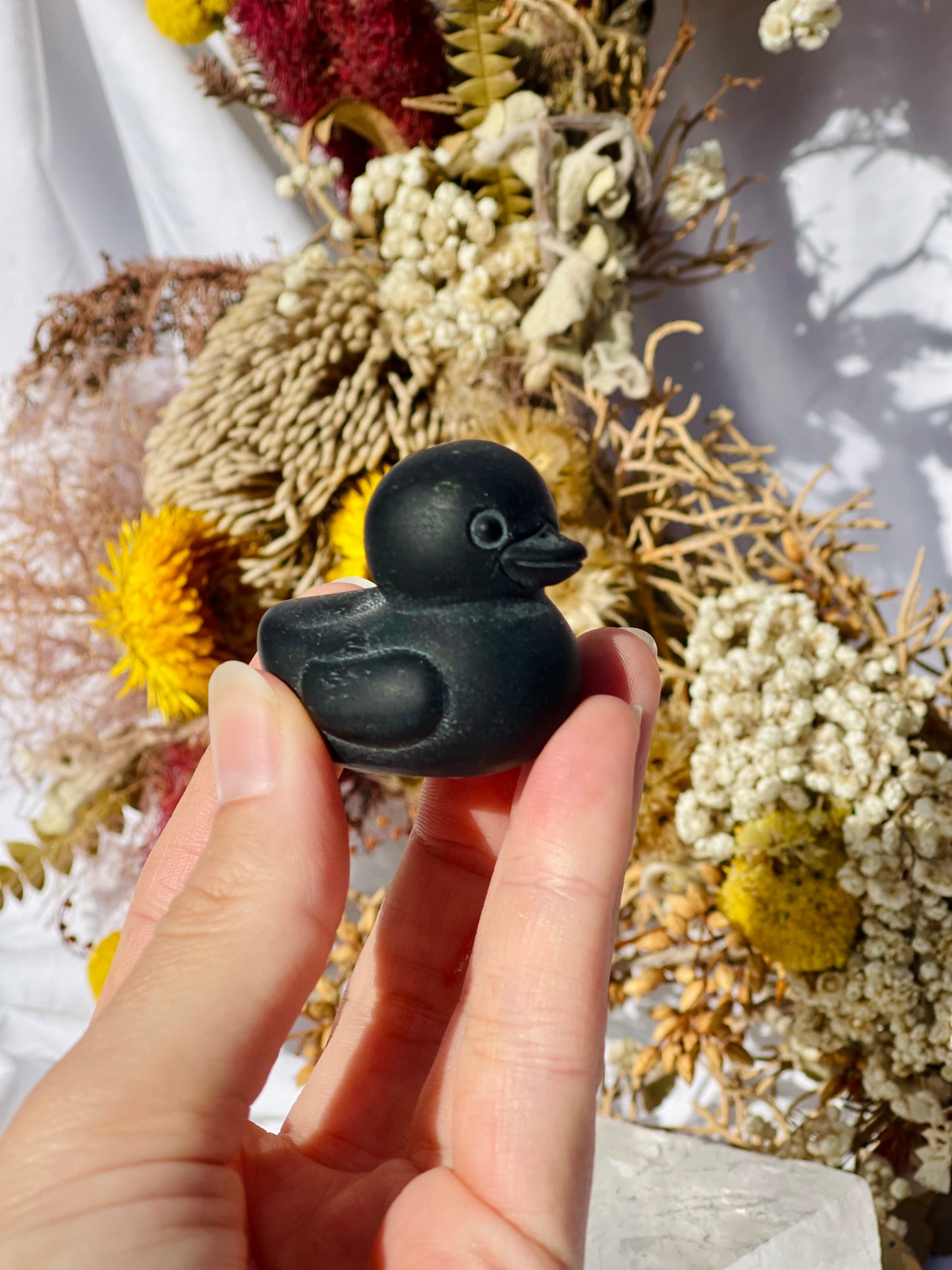 Obsidian Duck