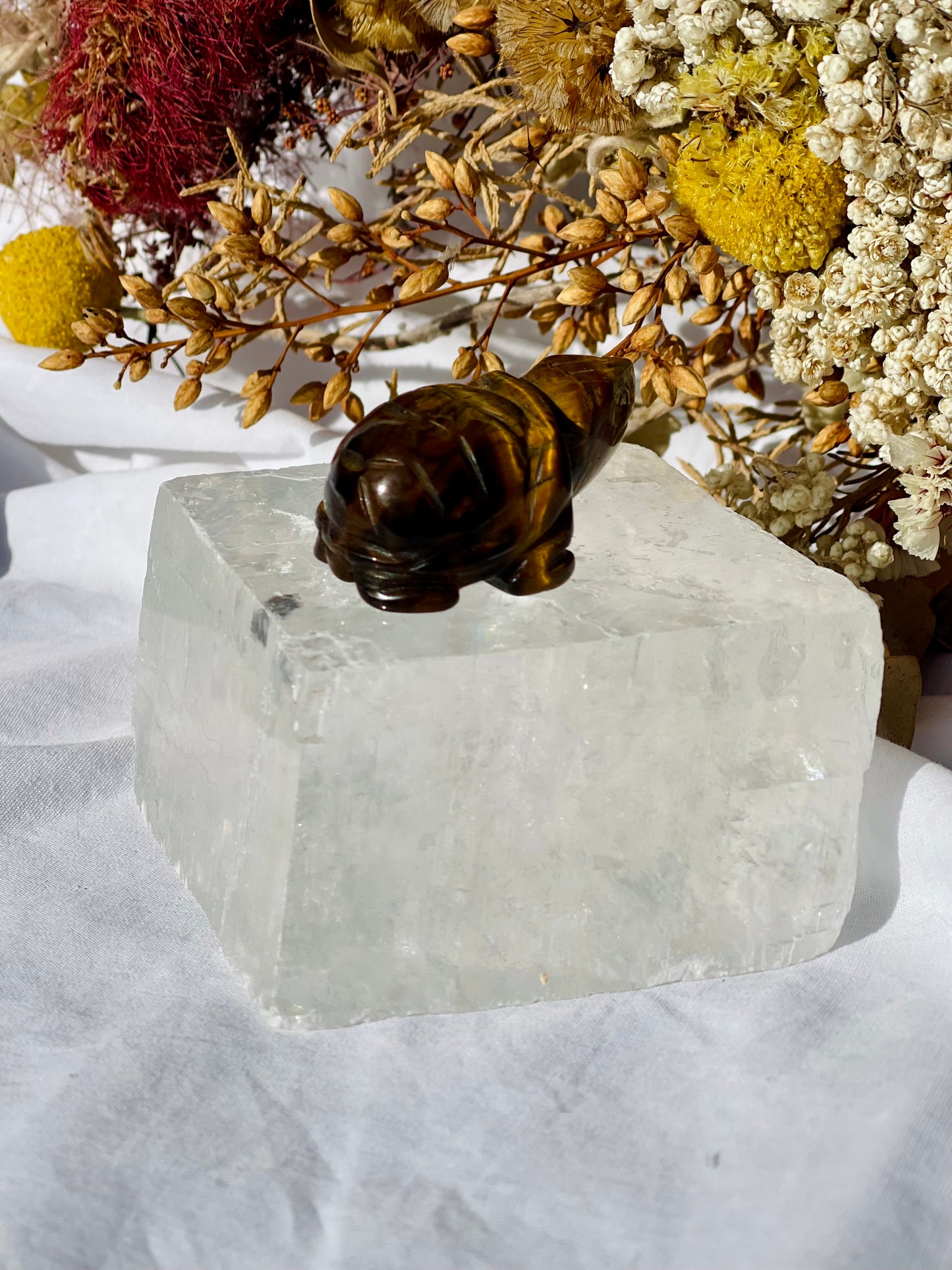 Tiger Eye Turtle