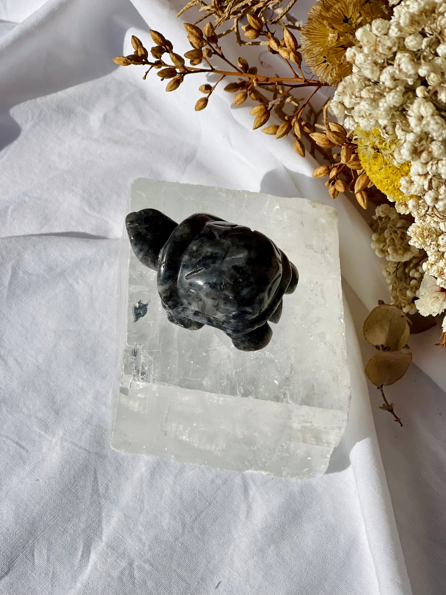 Larvikite Turtle