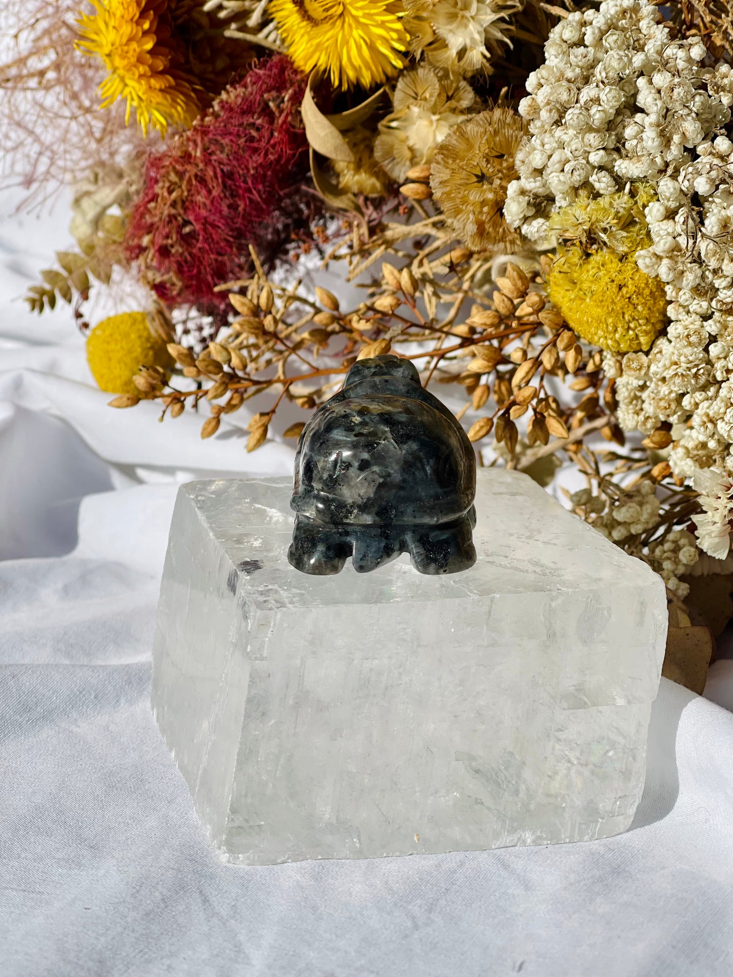 Larvikite Turtle