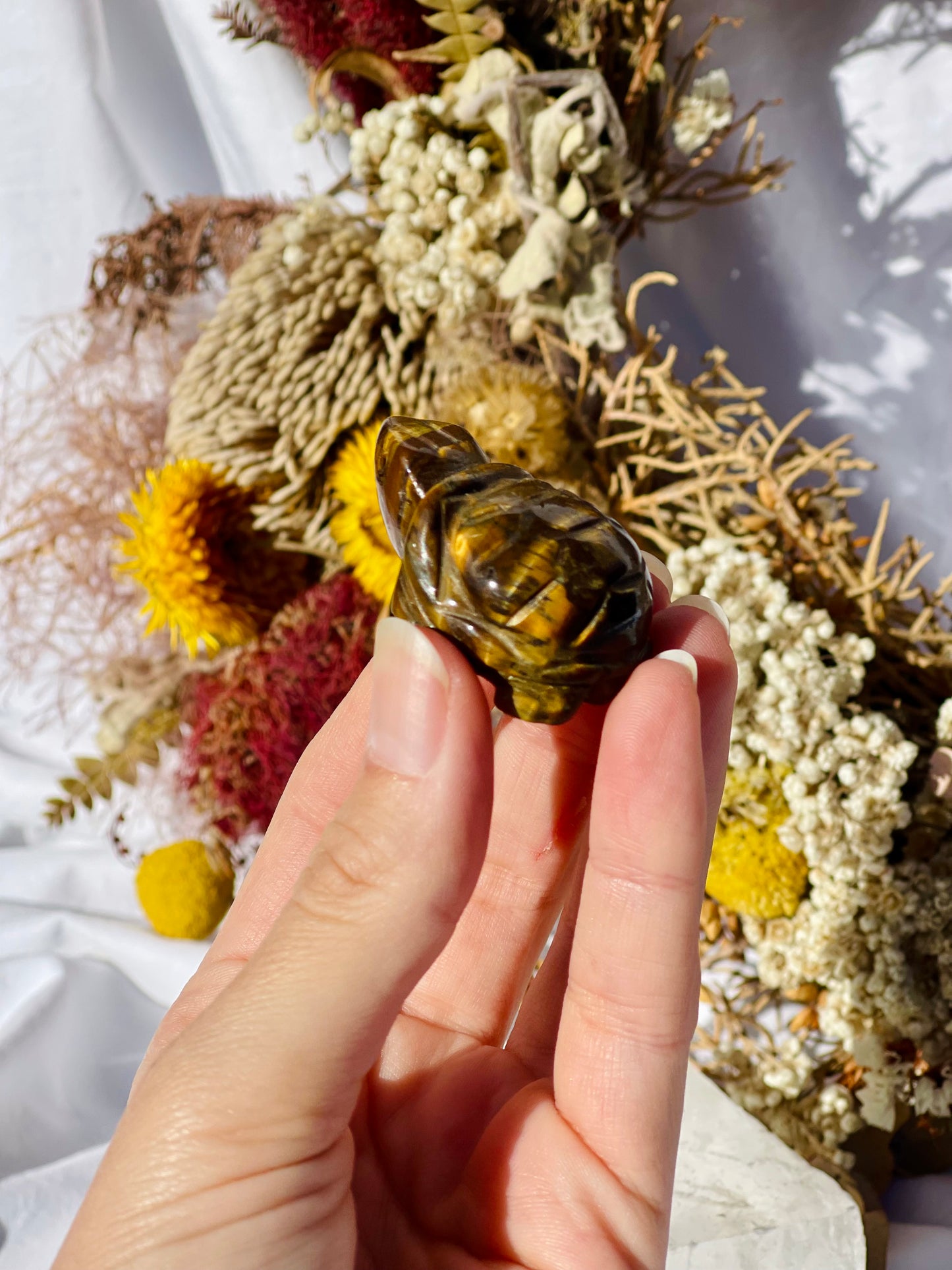 Tiger Eye Turtle