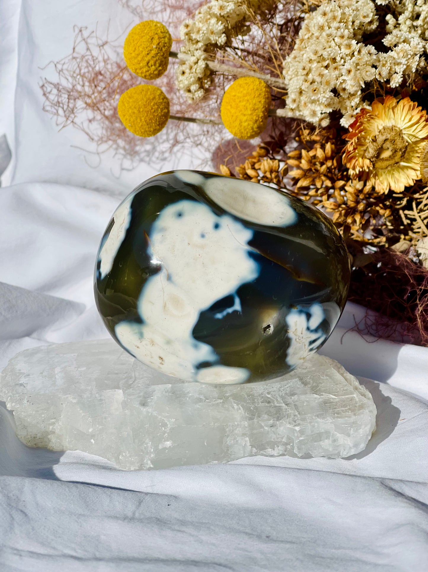 Orca Agate Freeform