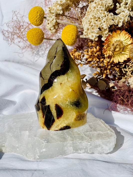 Septarian Dragon Stone Flame