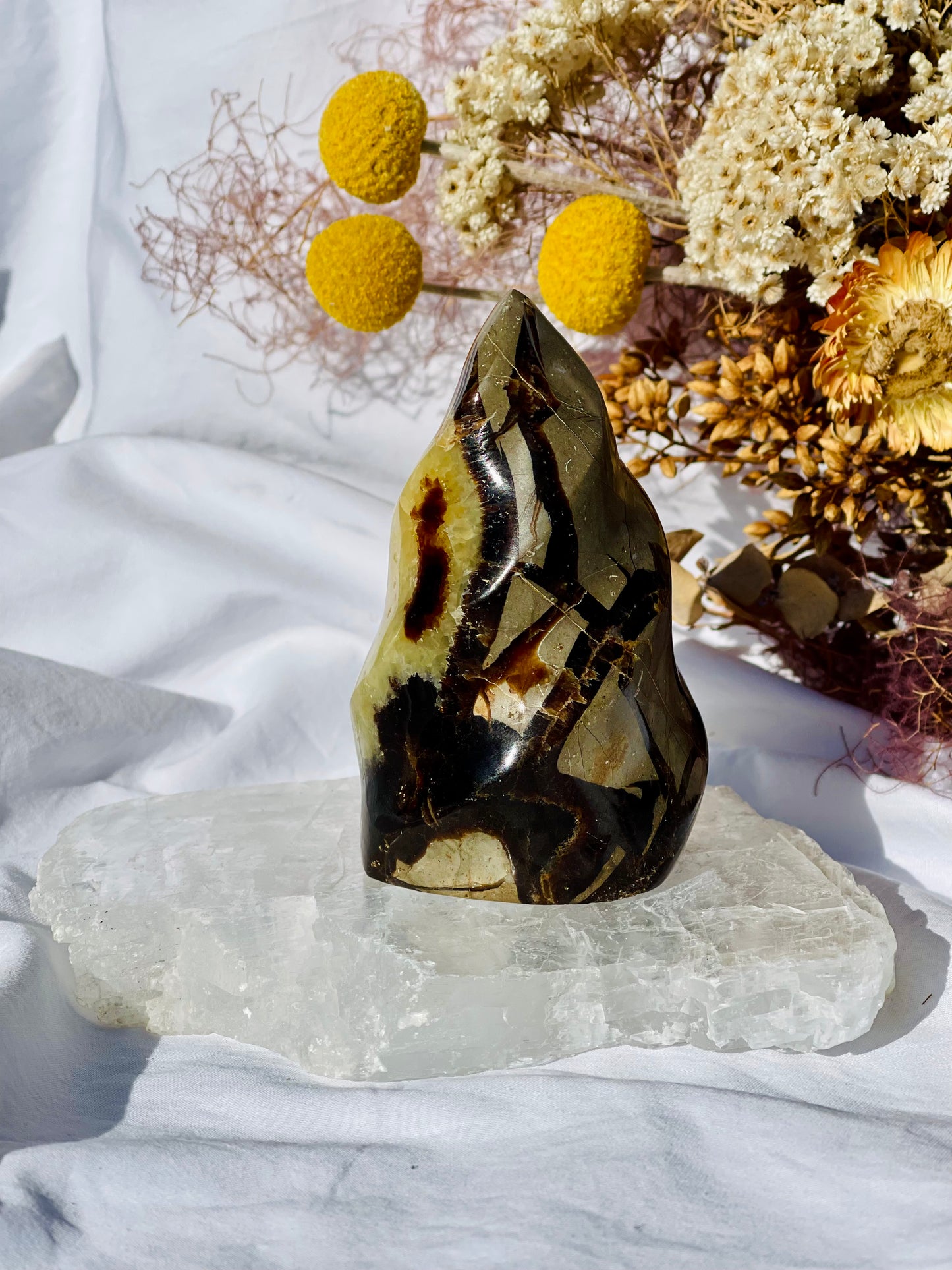 Septarian Dragon Stone Flame