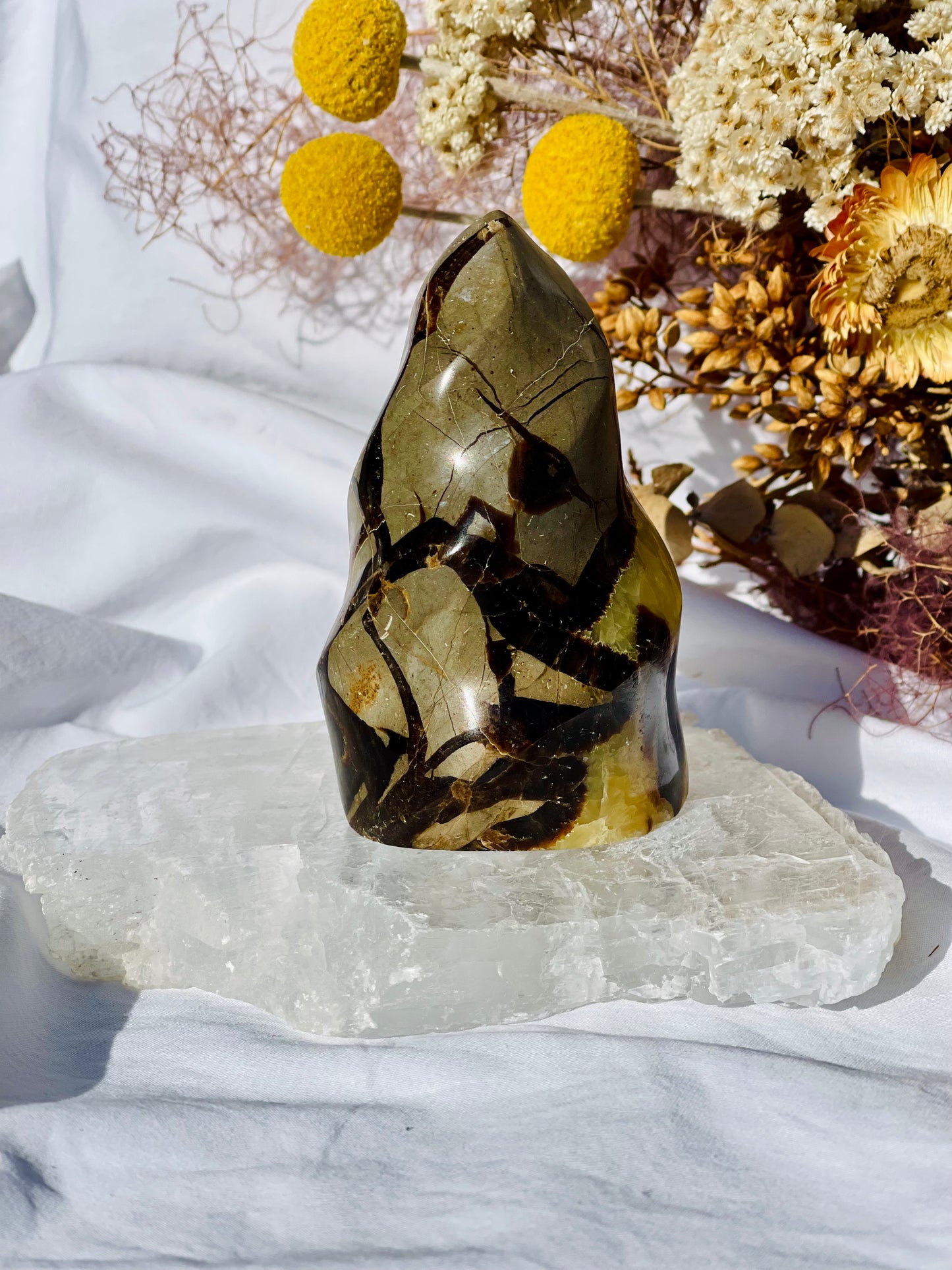 Septarian Dragon Stone Flame