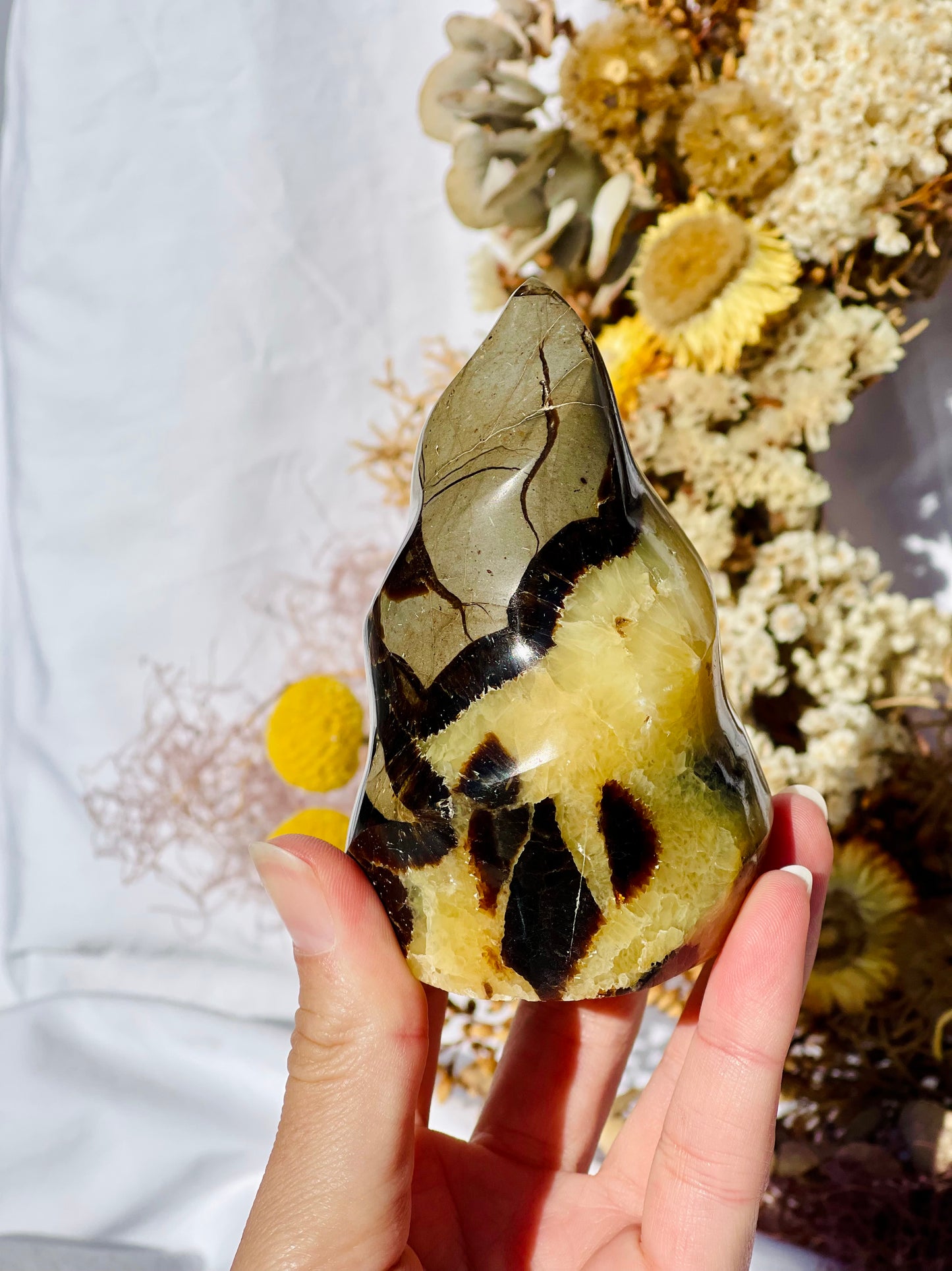Septarian Dragon Stone Flame