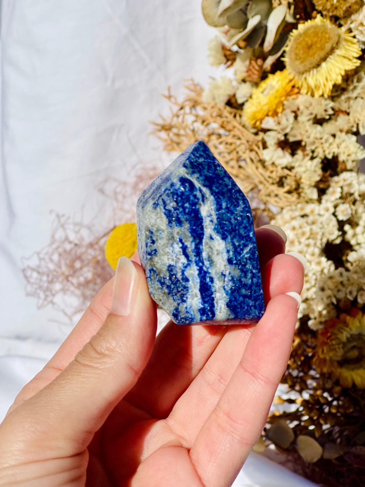 Lapis Lazuli Freeform
