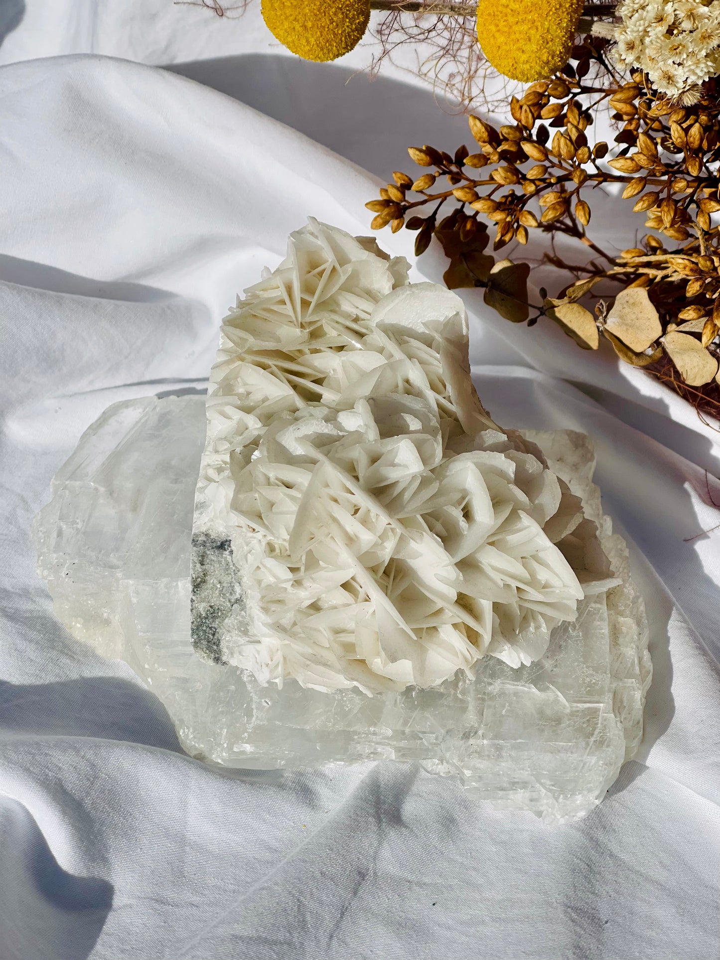 Angel Wing Calcite Cluster
