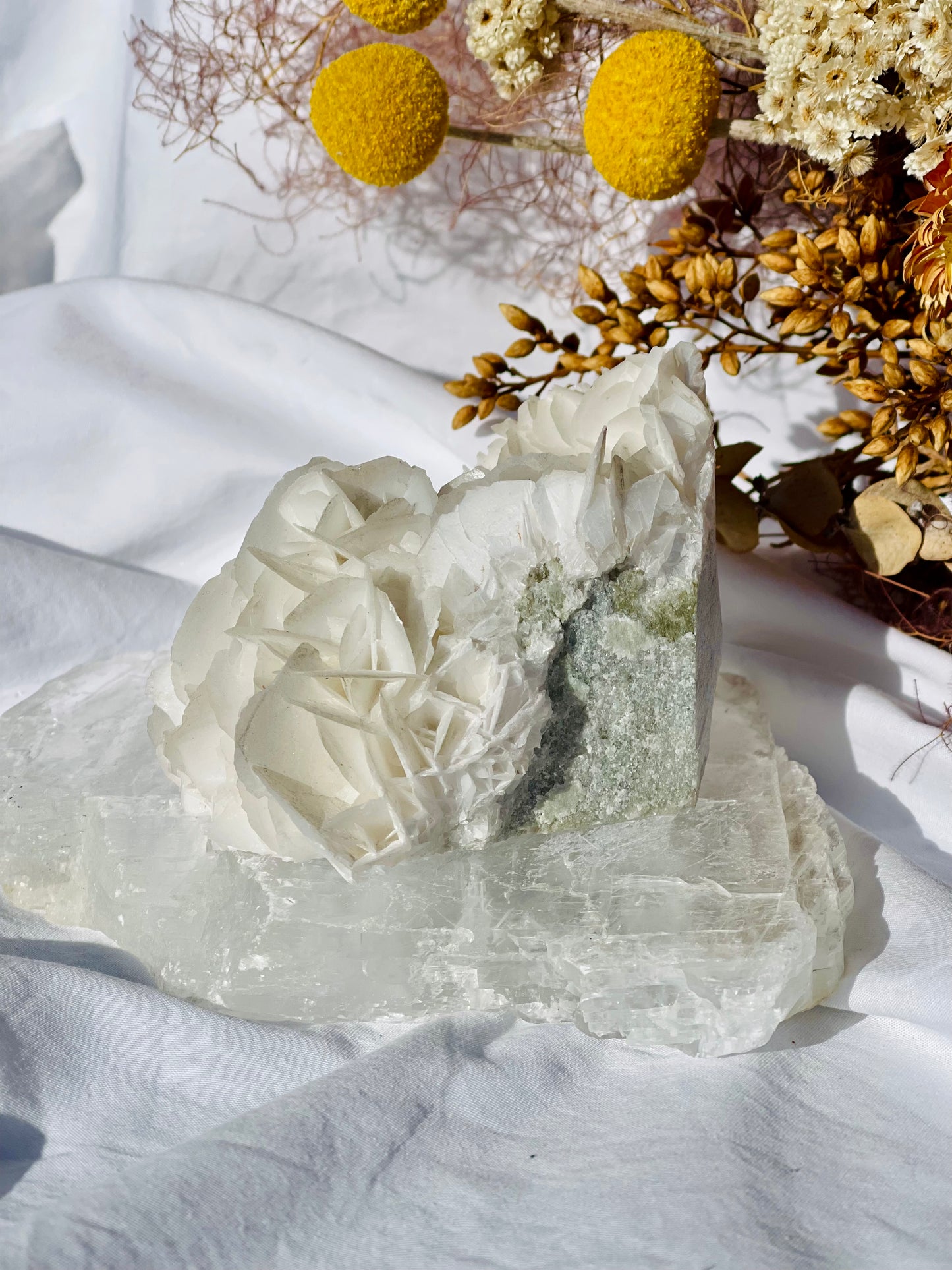 Angel Wing Calcite Cluster