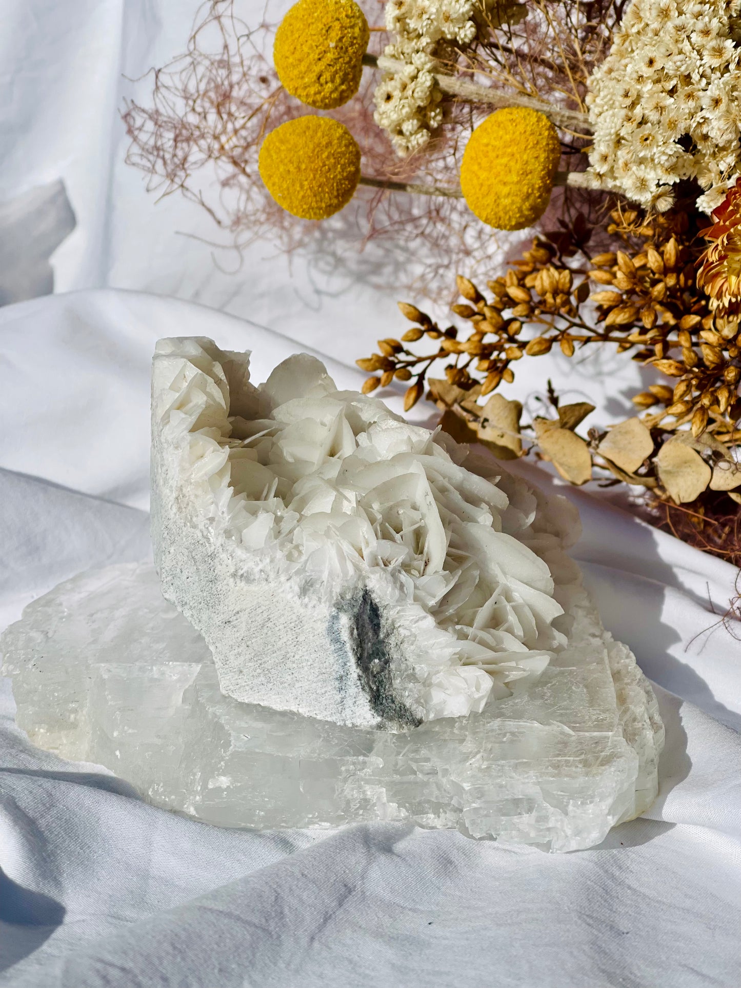 Angel Wing Calcite Cluster