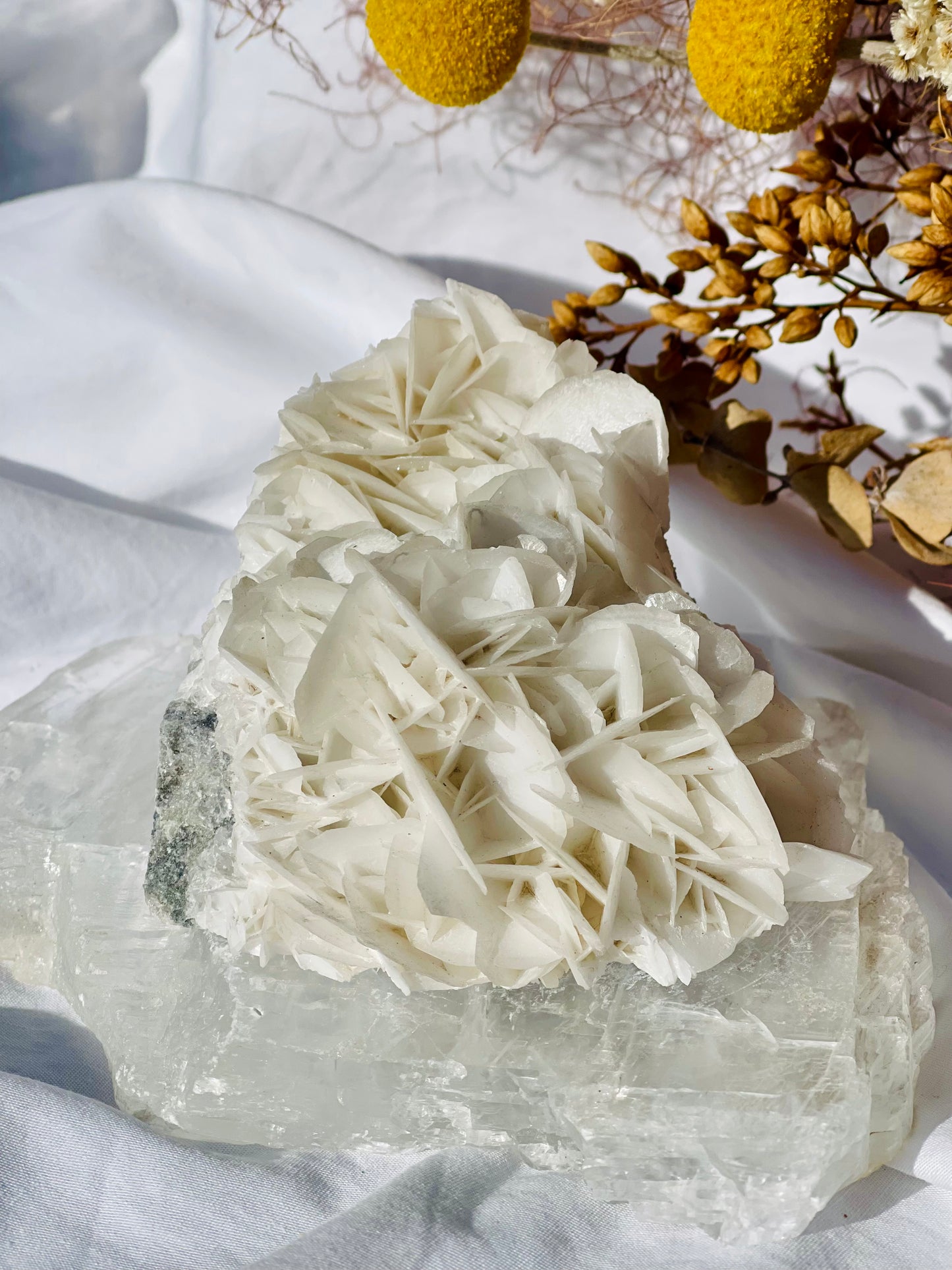 Angel Wing Calcite Cluster