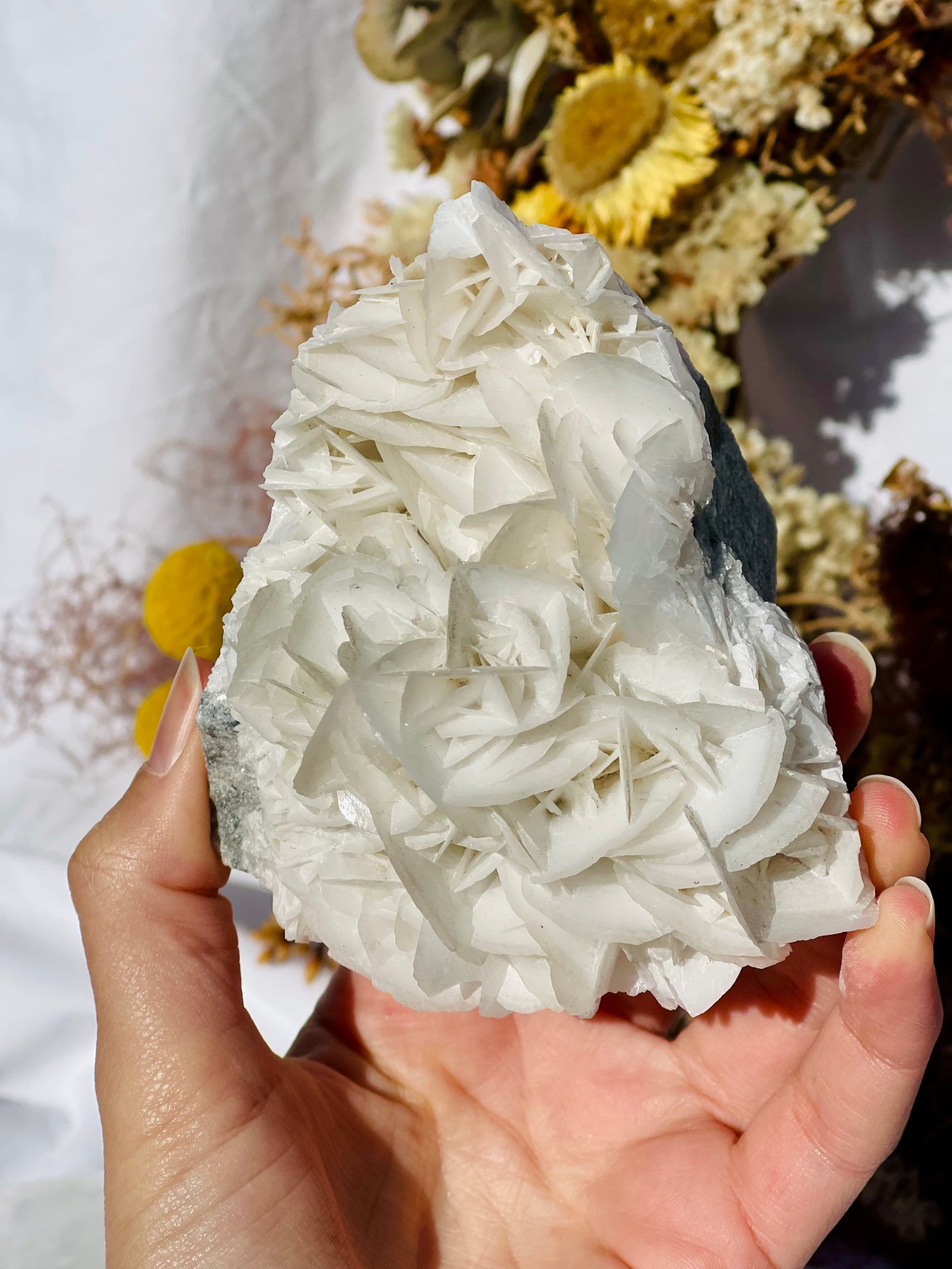 Angel Wing Calcite Cluster