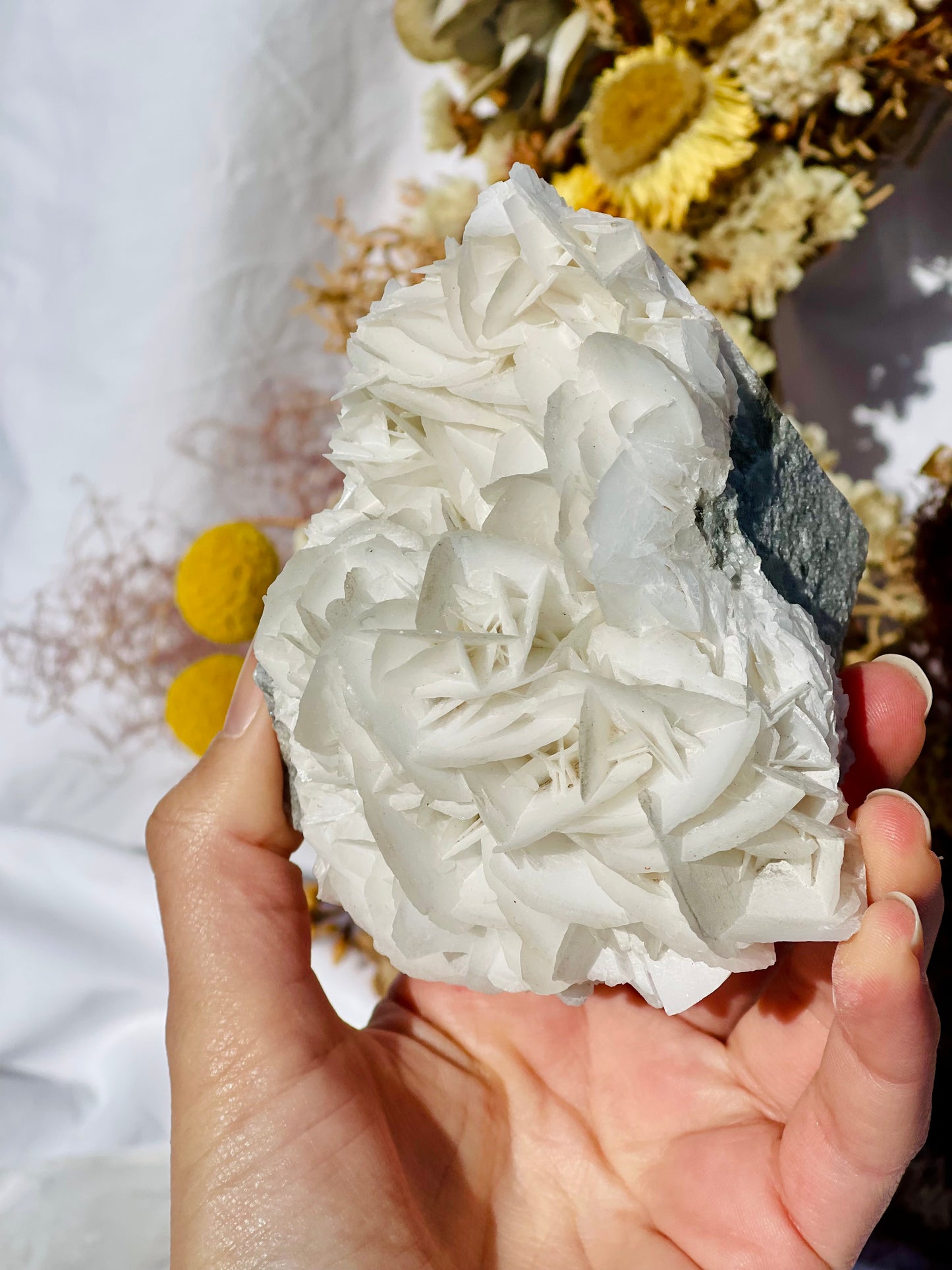 Angel Wing Calcite Cluster