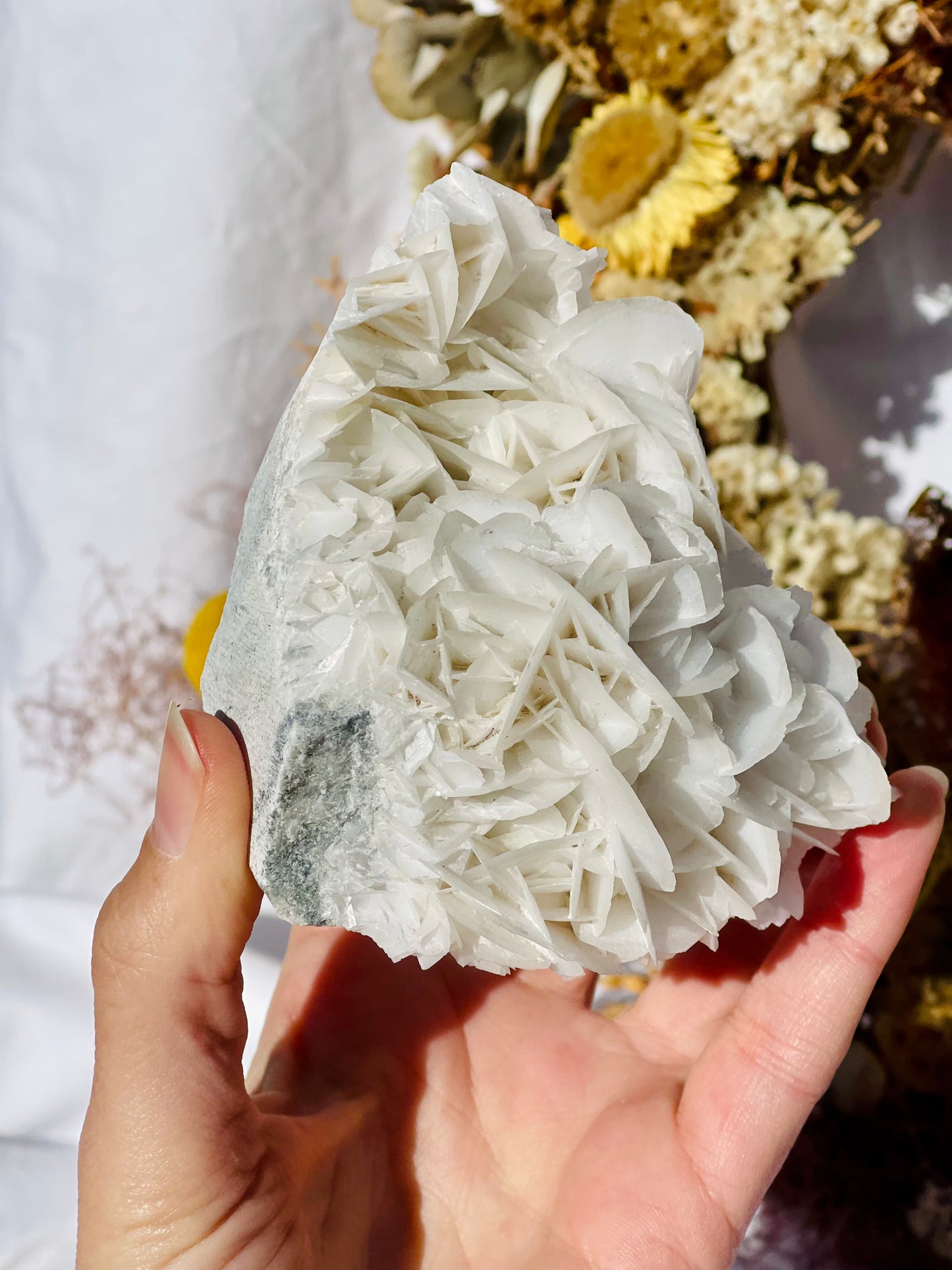 Angel Wing Calcite Cluster