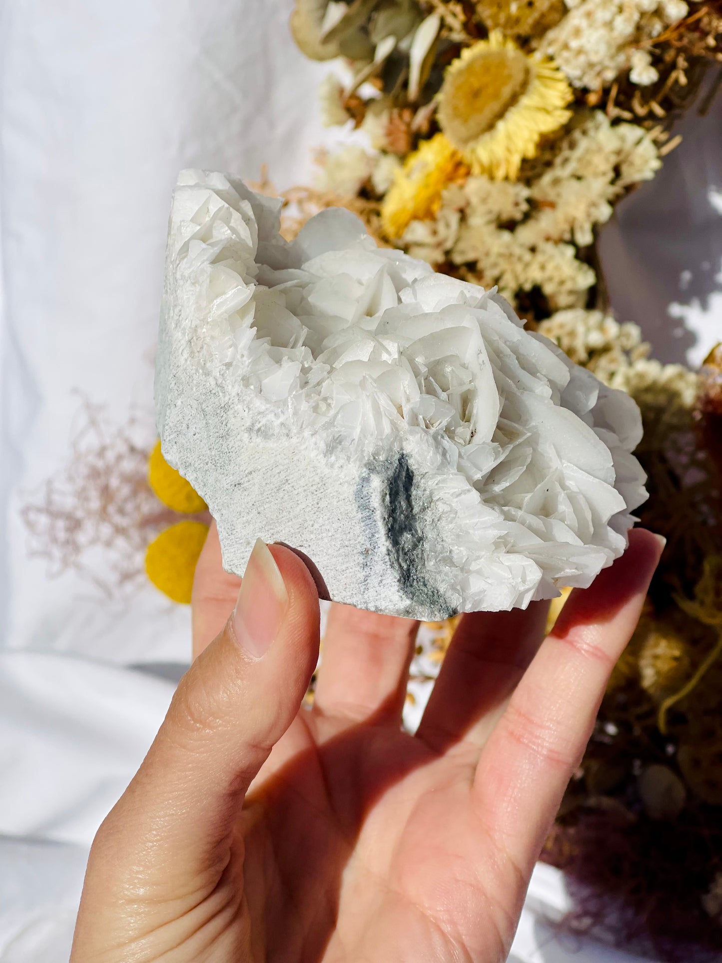 Angel Wing Calcite Cluster