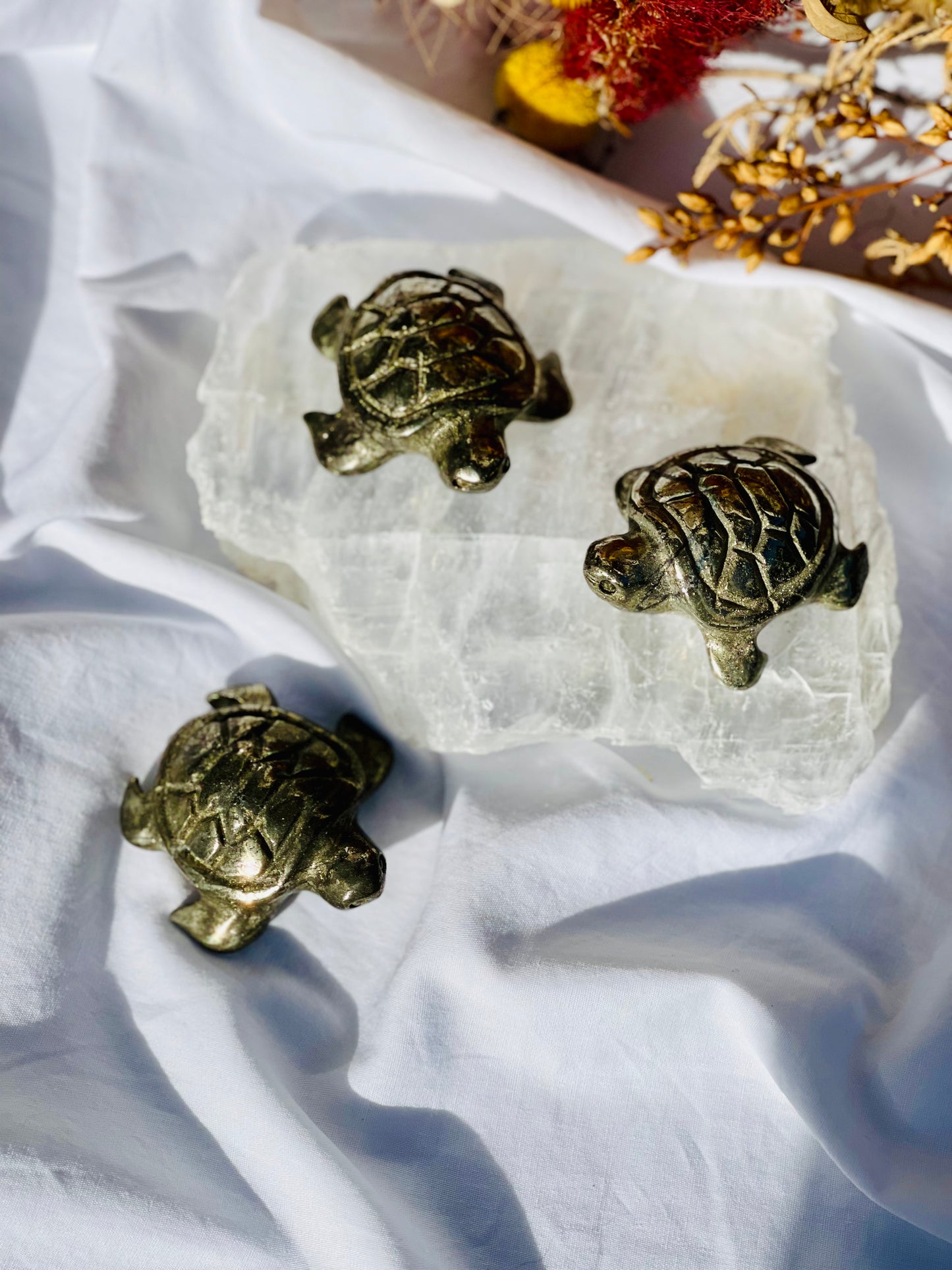 Pyrite Turtle