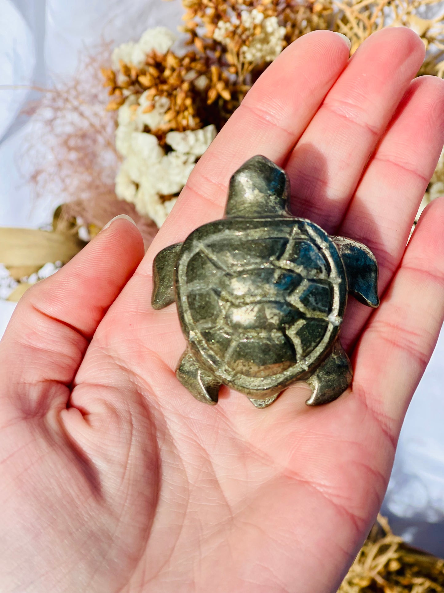 Pyrite Turtle