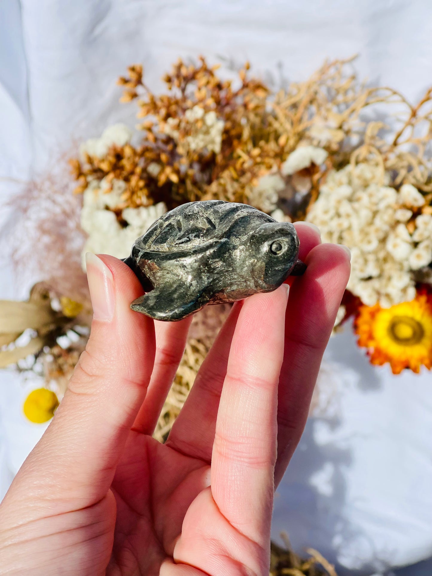 Pyrite Turtle