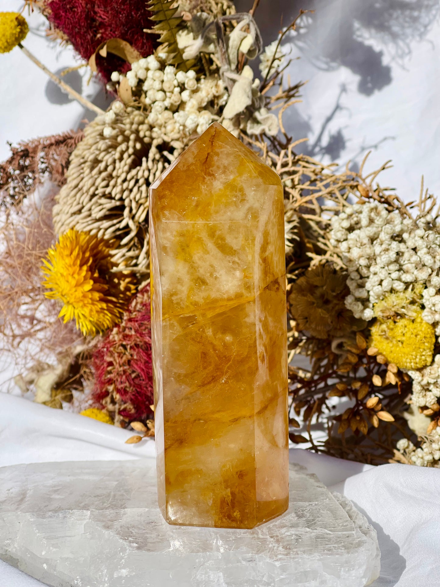 Golden Healer Point