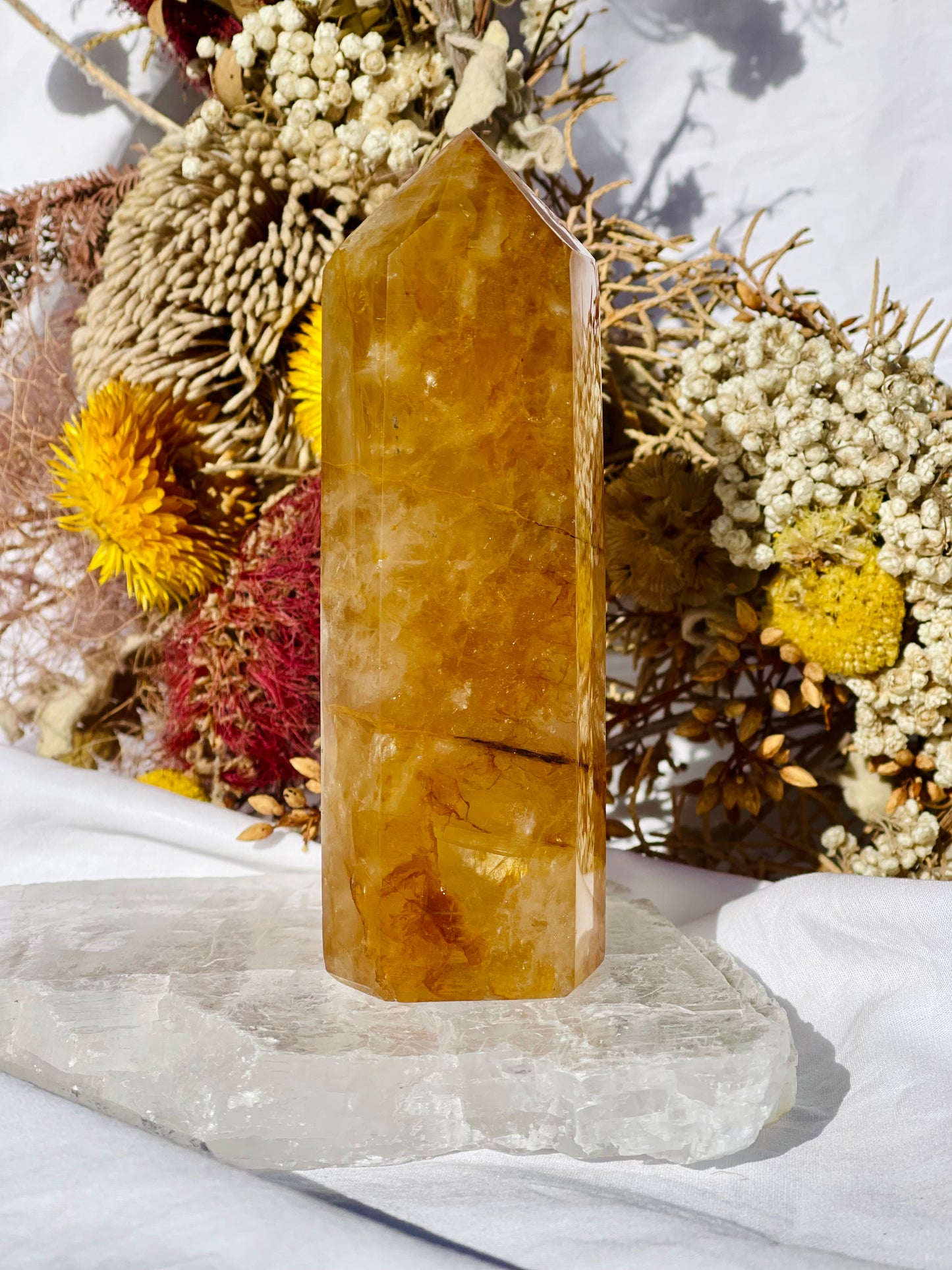 Golden Healer Point