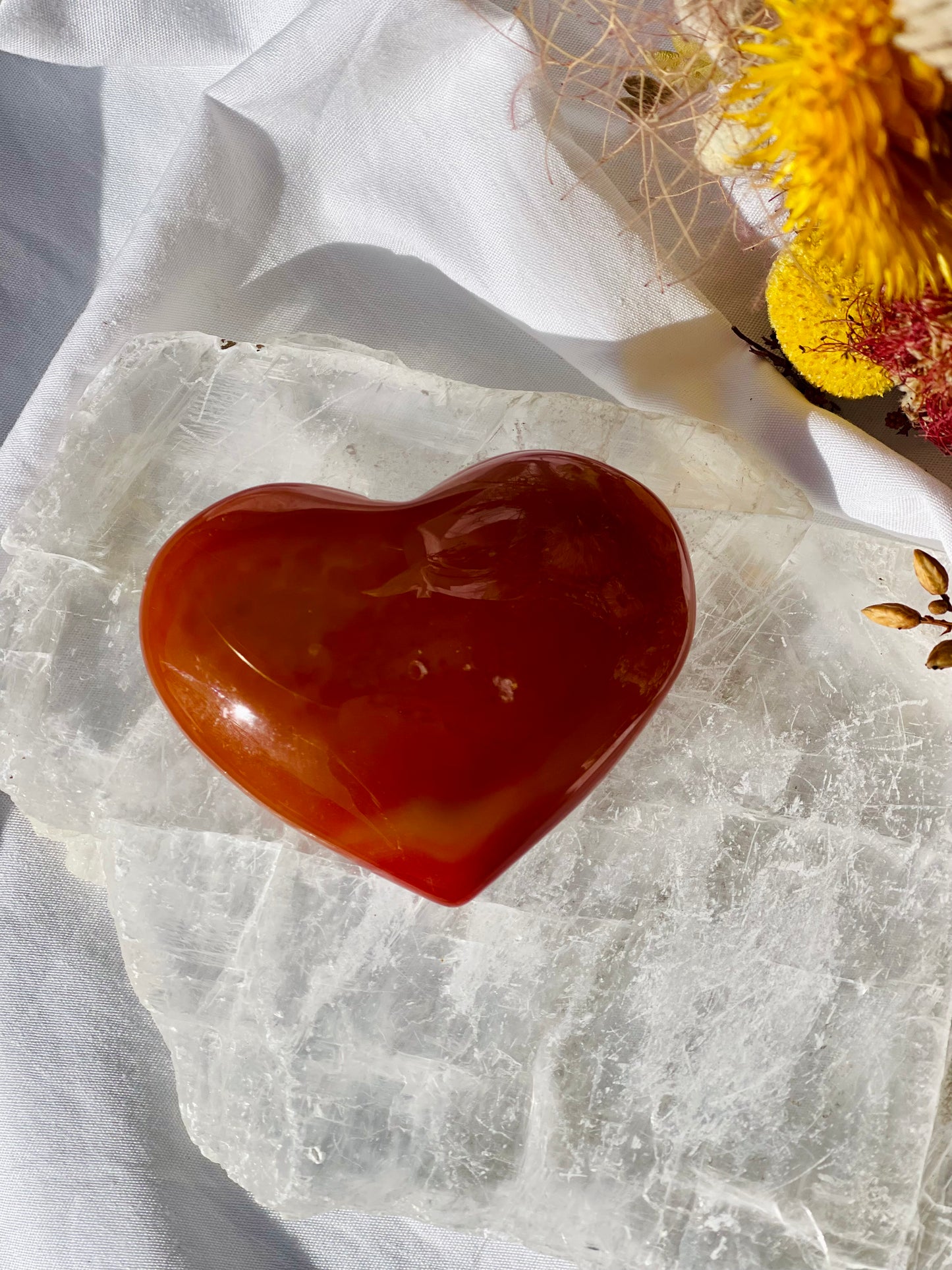 Carnelian Heart E