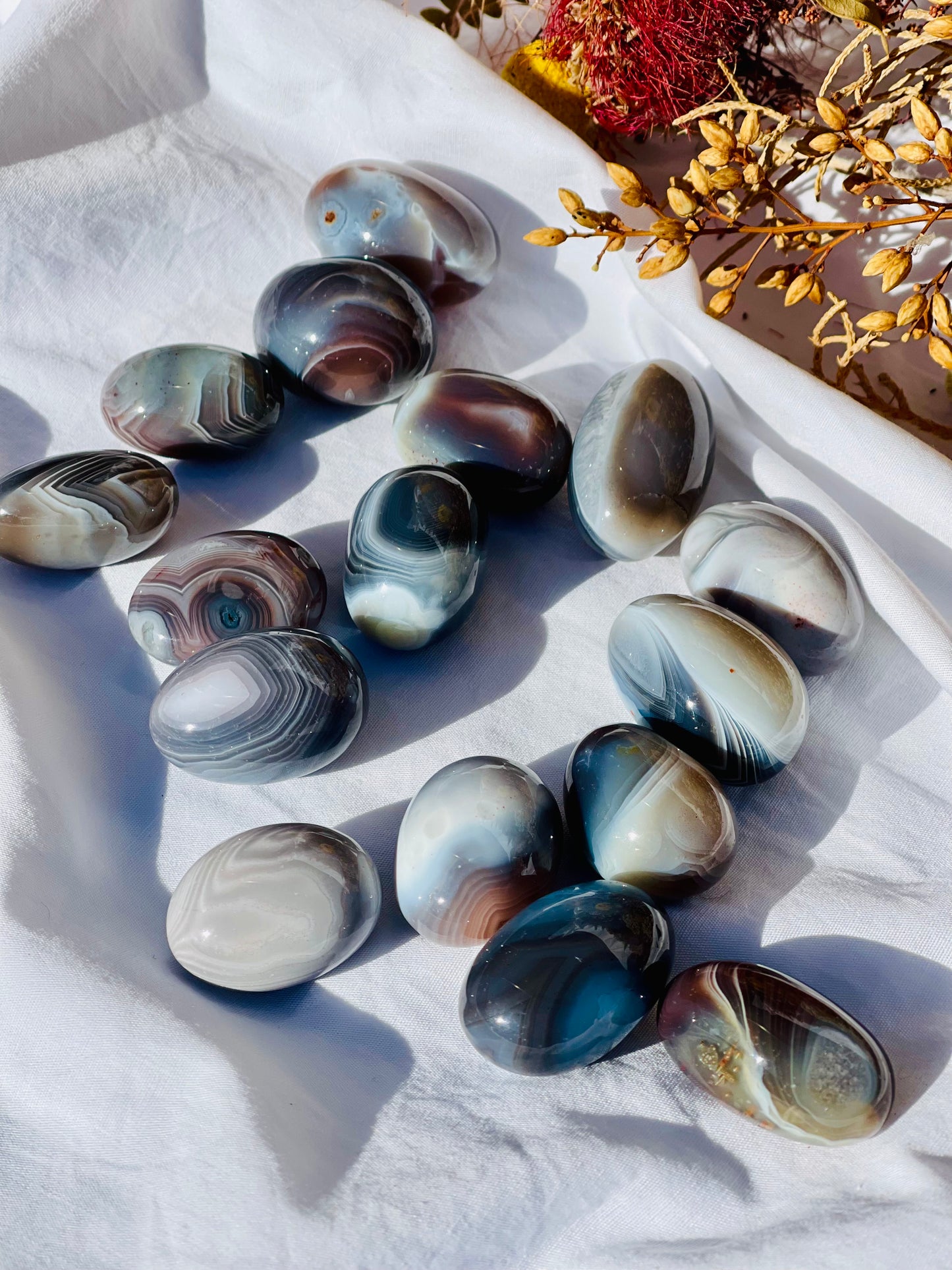 Botswana Agate