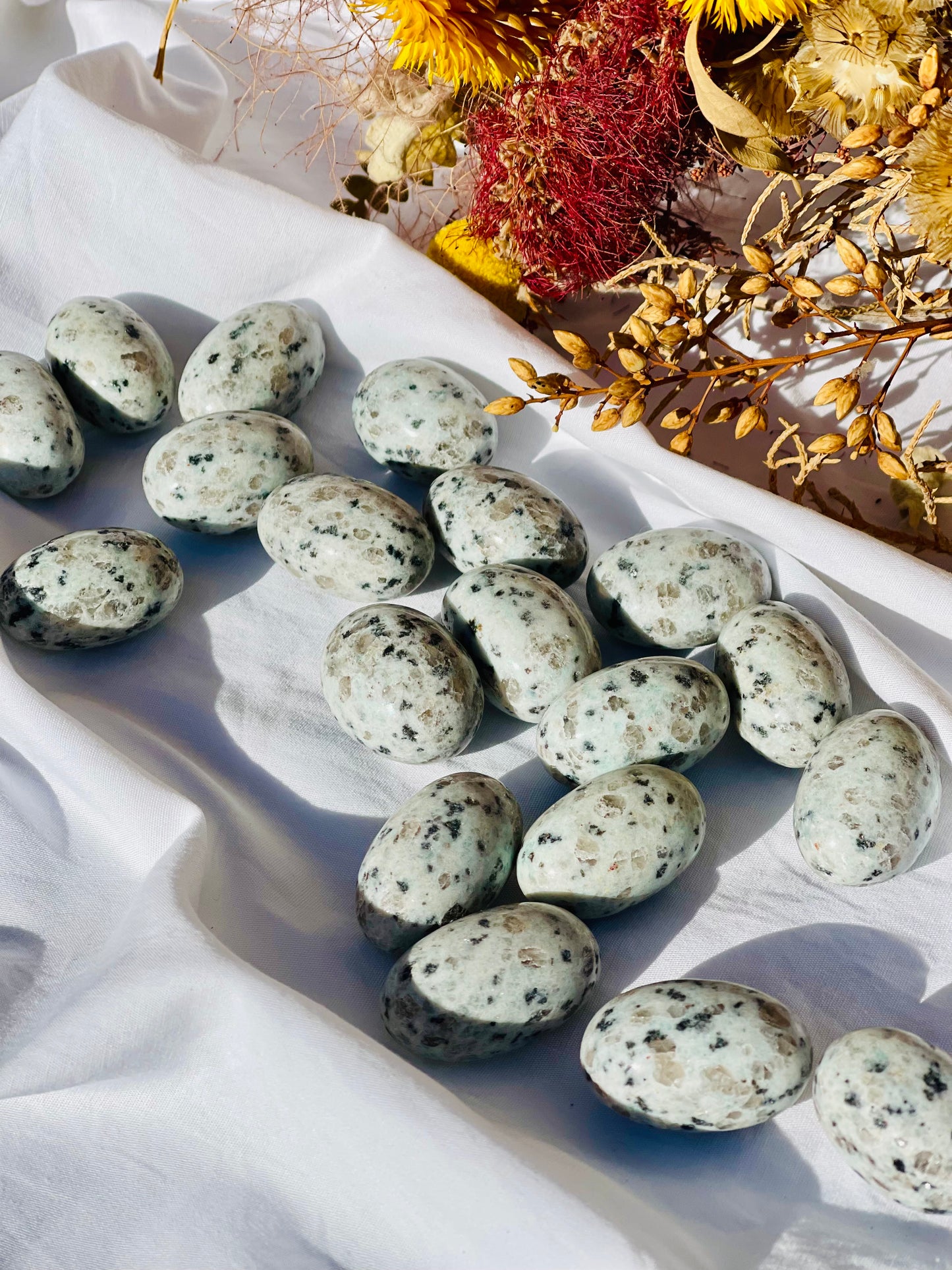 Kiwi Jasper Tumble