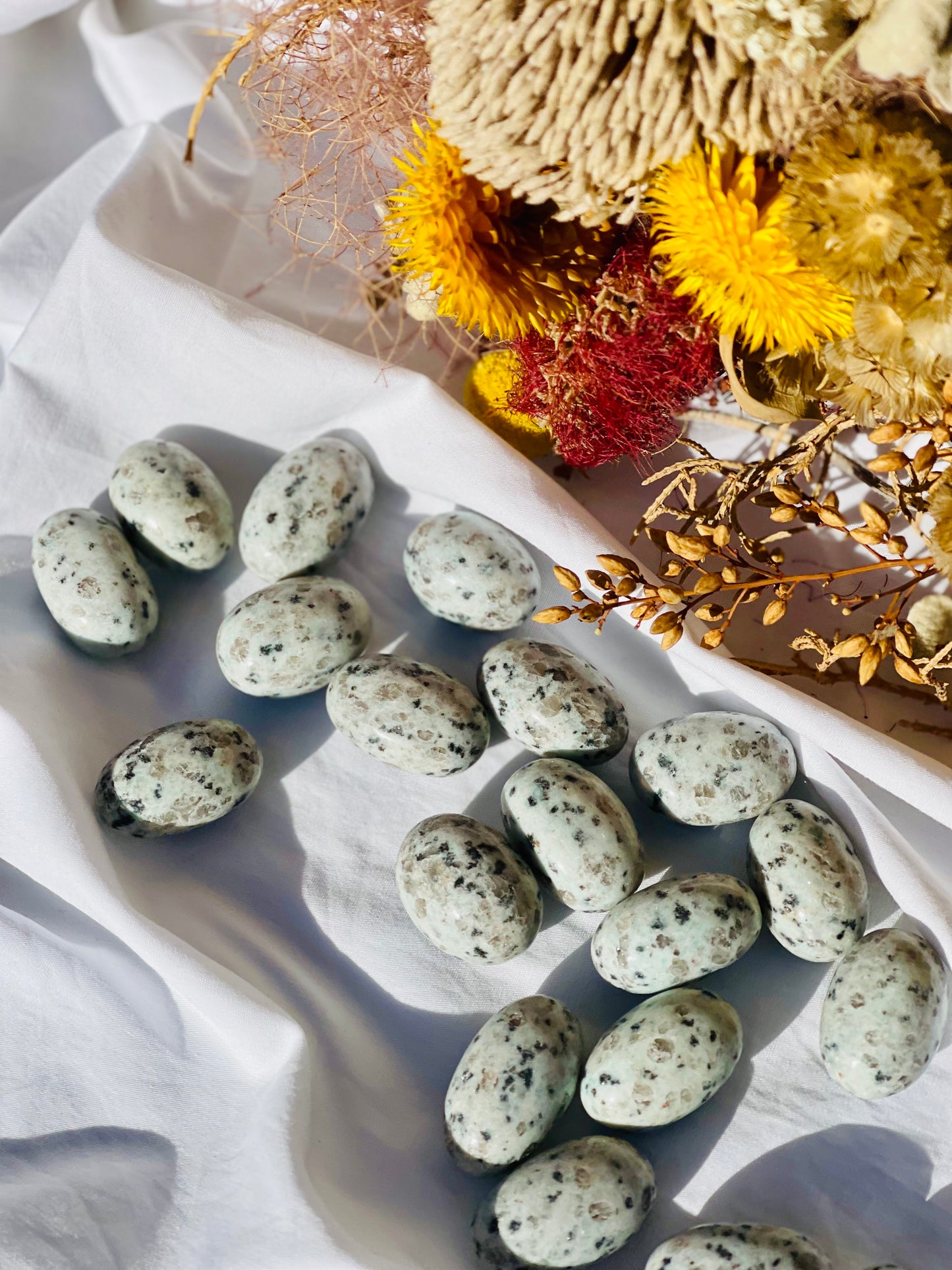 Kiwi Jasper Tumble
