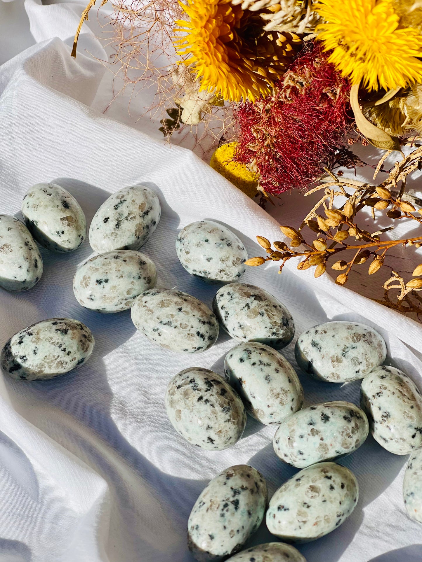 Kiwi Jasper Tumble