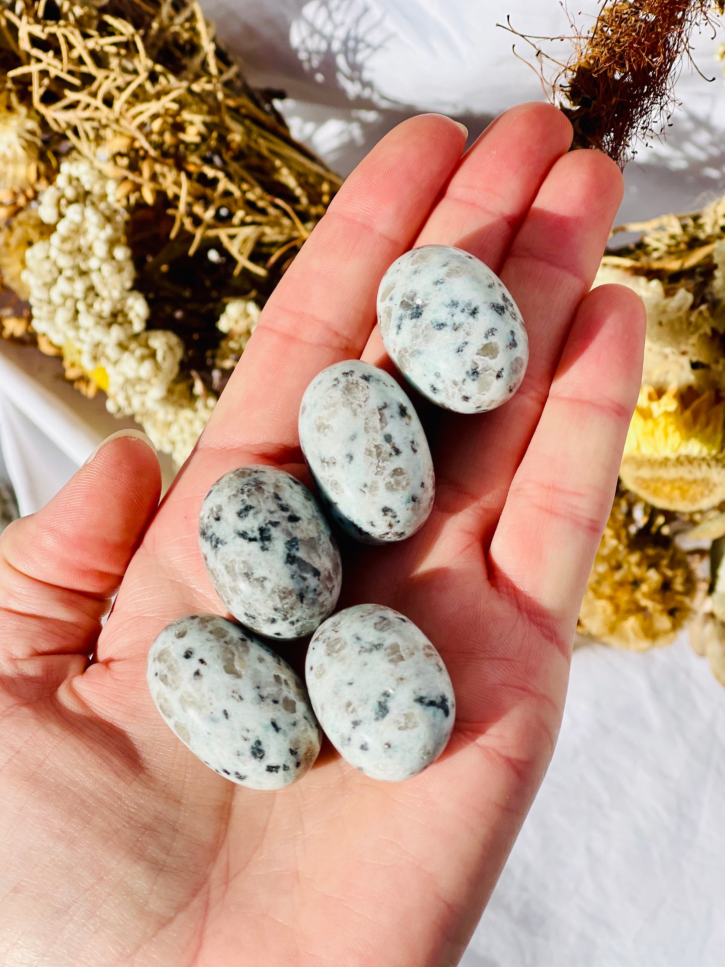 Kiwi Jasper Tumble