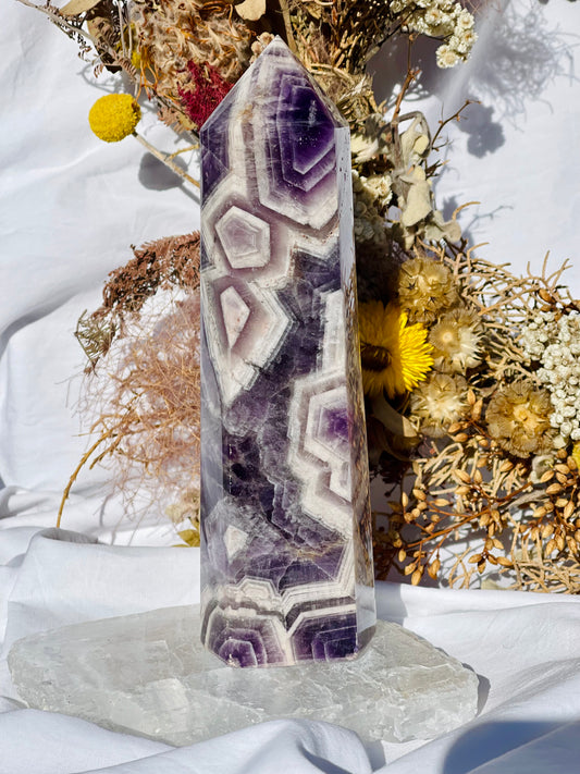 Chevron Amethyst Point