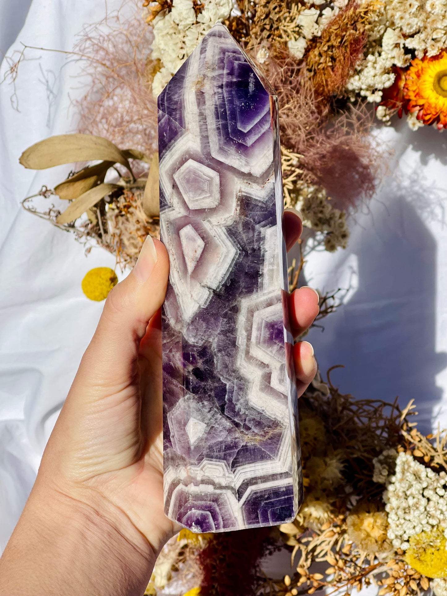 Chevron Amethyst Point