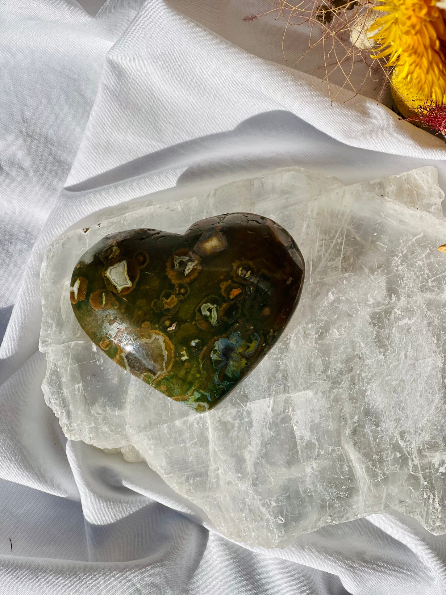 Rainforest Jasper Heart #1