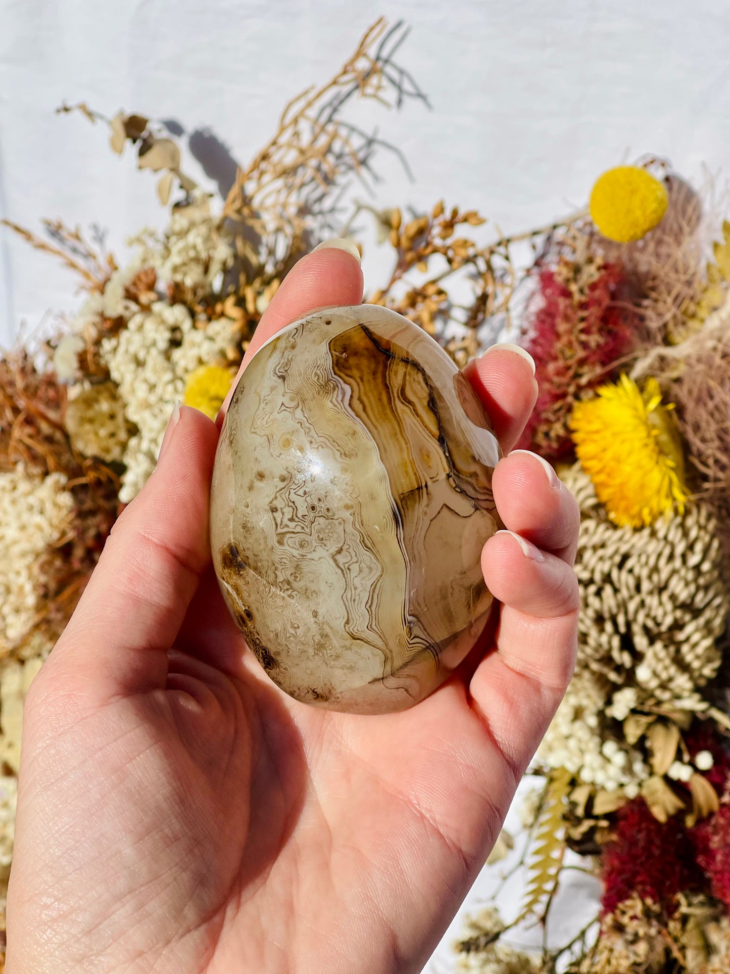 Sardonyx Palmstone