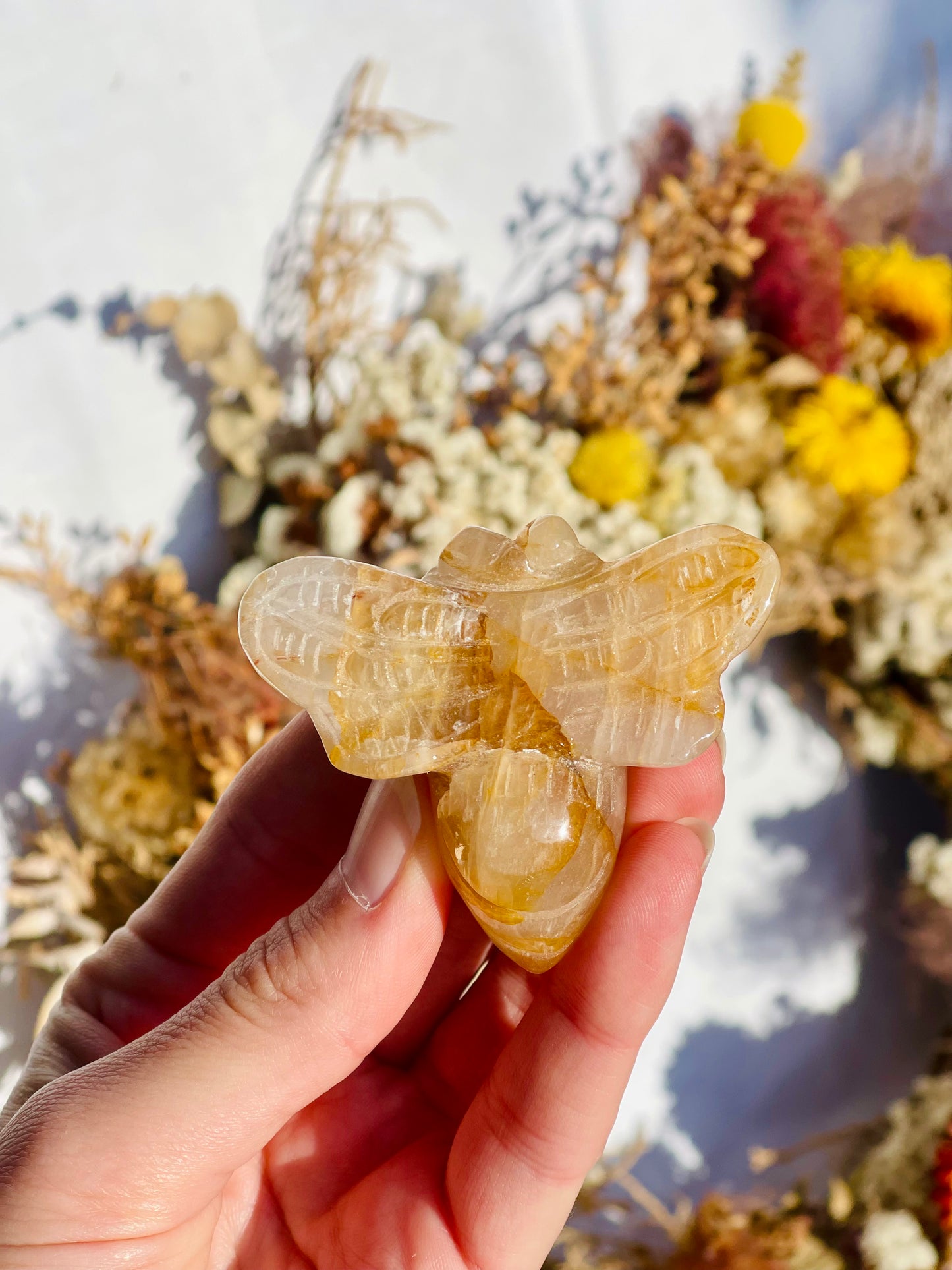 Golden Healer bee