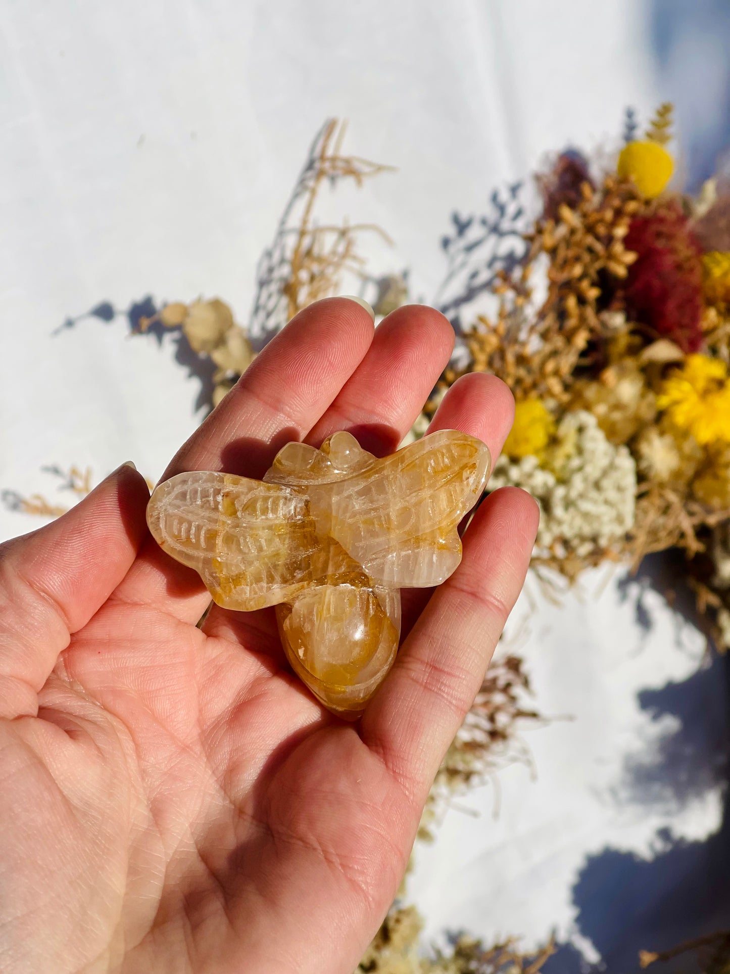 Golden Healer bee