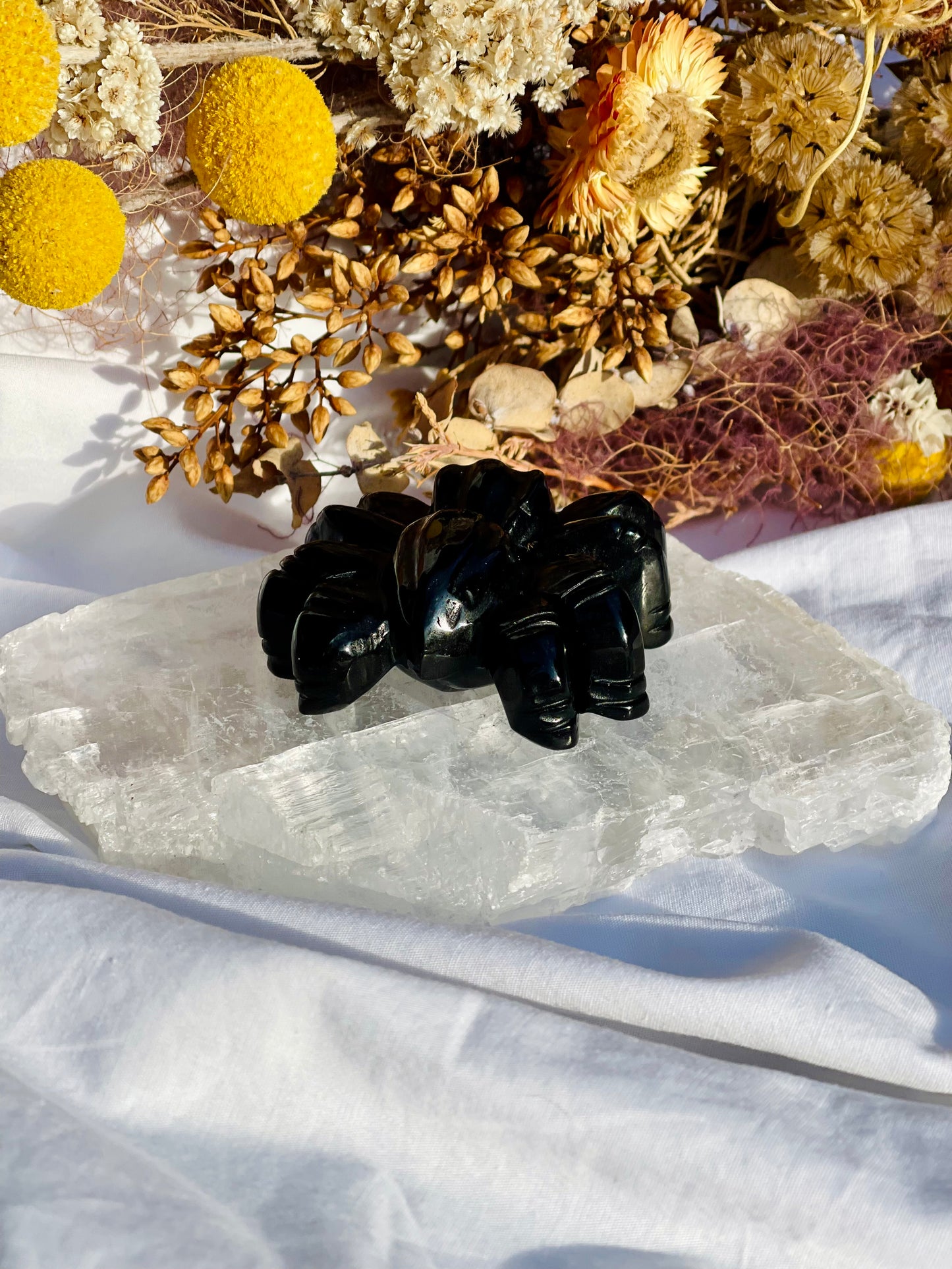 Black Obsidian Spider