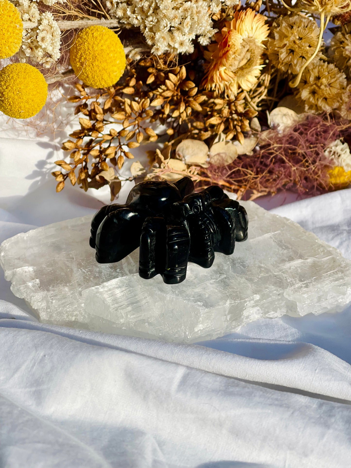 Black Obsidian Spider