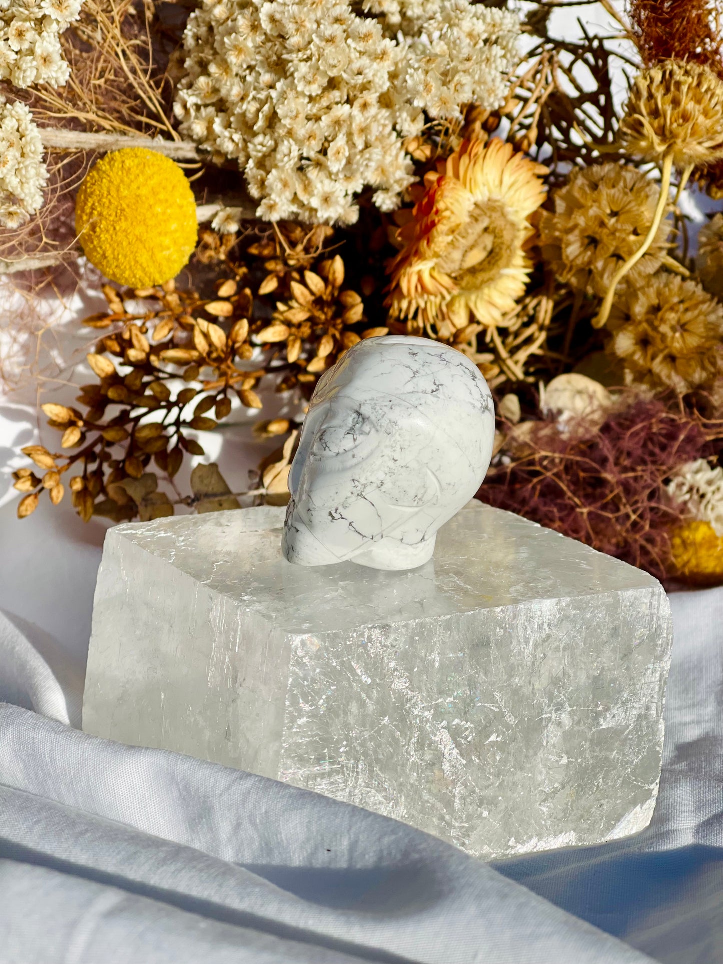 Howlite Alien Head